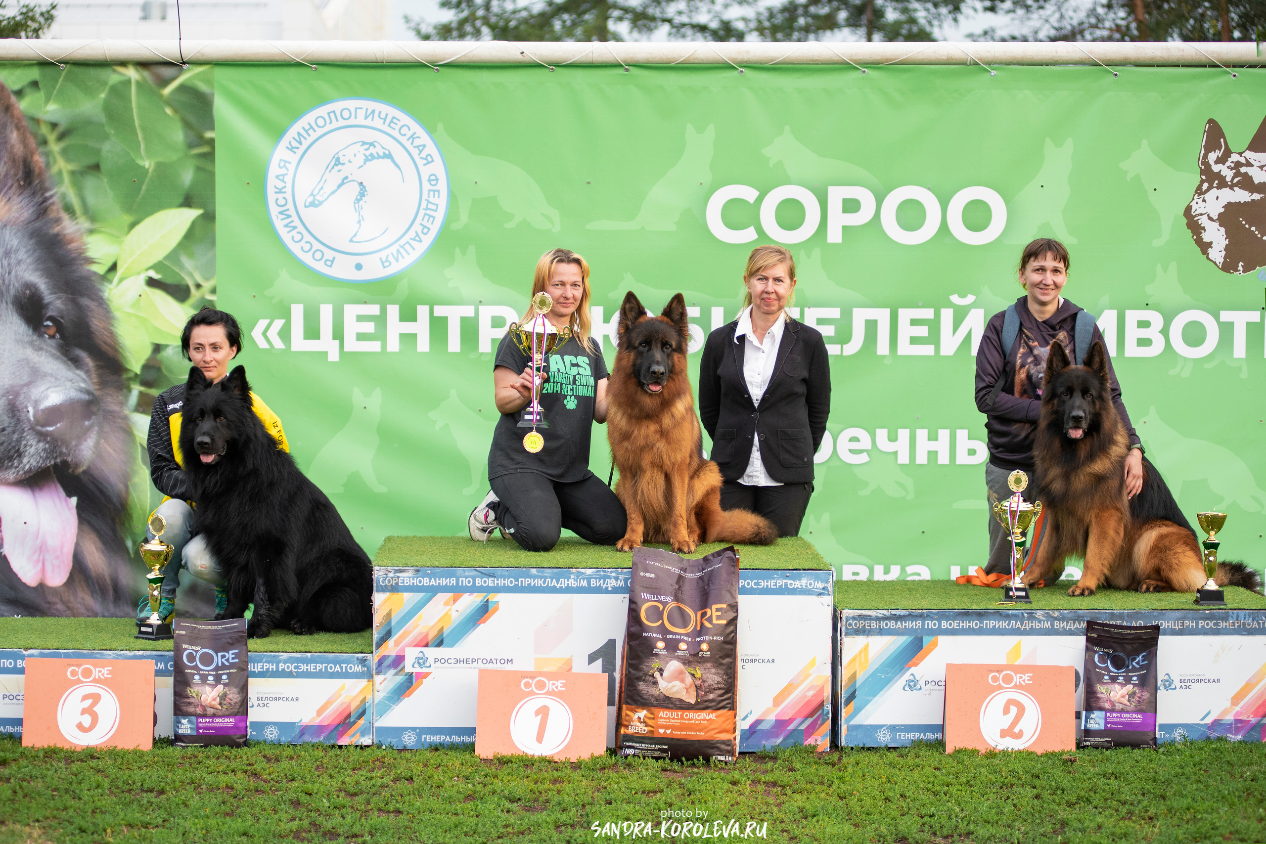 Монопородная выставка немецких овчарок, г. Заречный 2021. Дог-фотограф в Тюмени Александра Королева