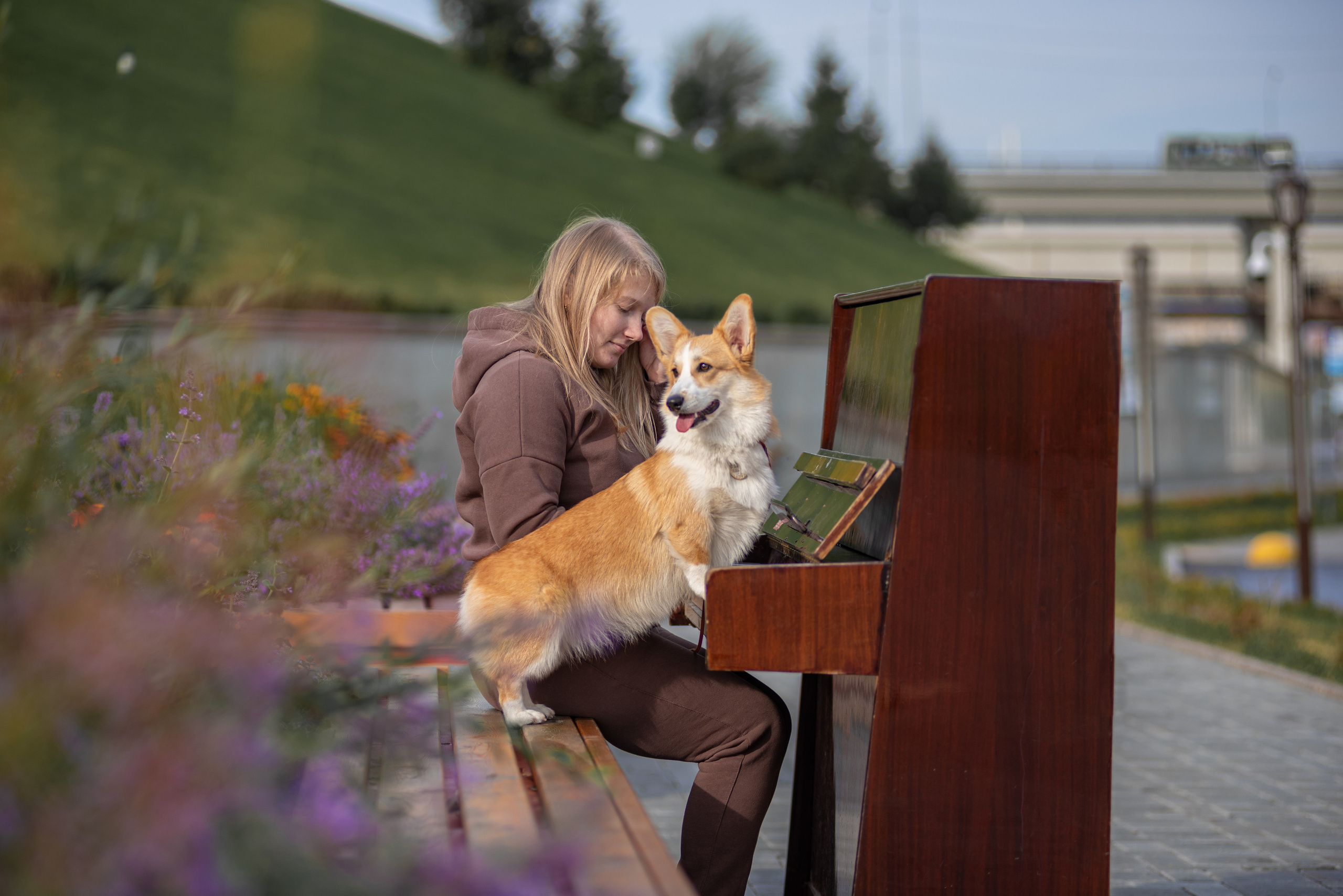 Ася и Плюша. Дог-фотограф в Тюмени Александра Королева