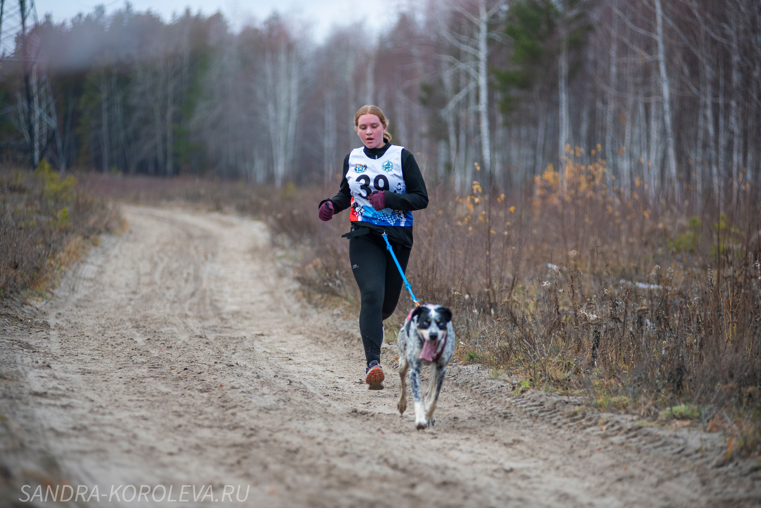 Спринт-гонка «Закрытие сезона» 24.10.2021. Дог-фотограф в Тюмени Александра Королева