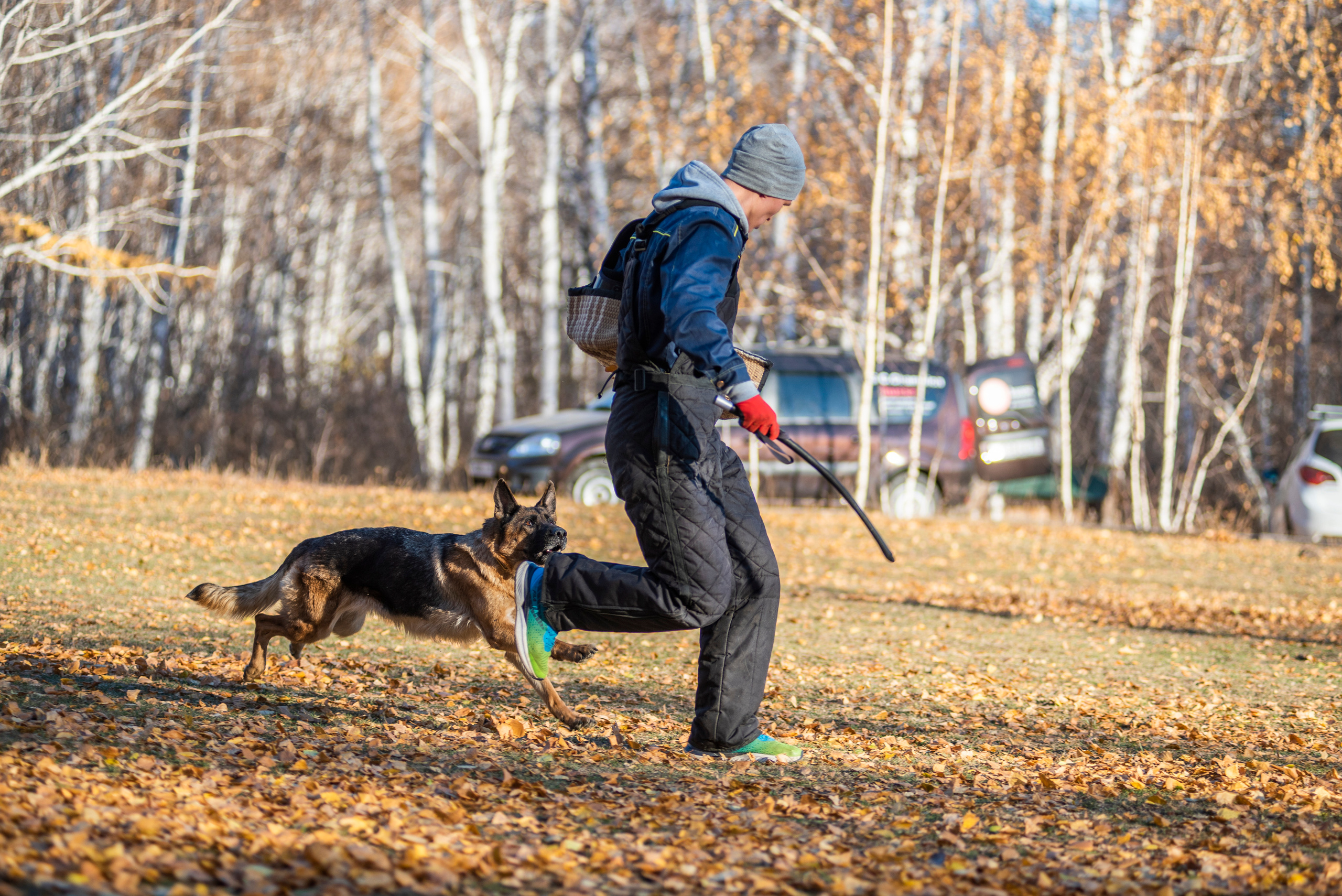 RUSSIAN HELPERS SCHOOL. Магнитогорск октябрь 2021. Дог-фотограф в Тюмени Александра Королева