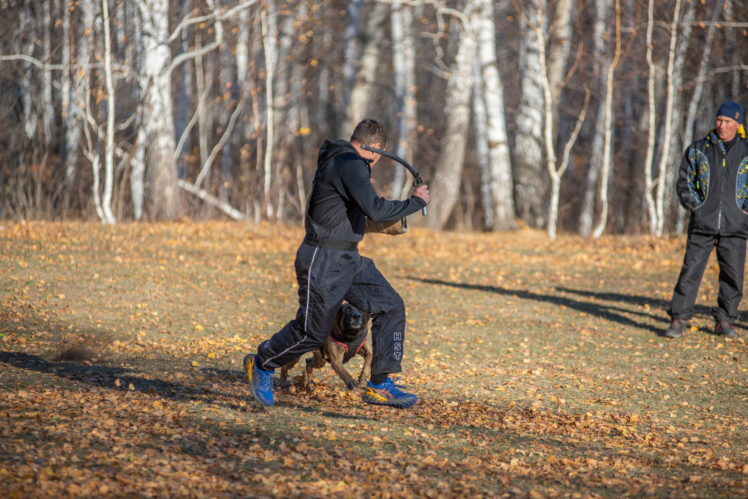 RUSSIAN HELPERS SCHOOL. Магнитогорск октябрь 2021. Дог-фотограф в Тюмени Александра Королева