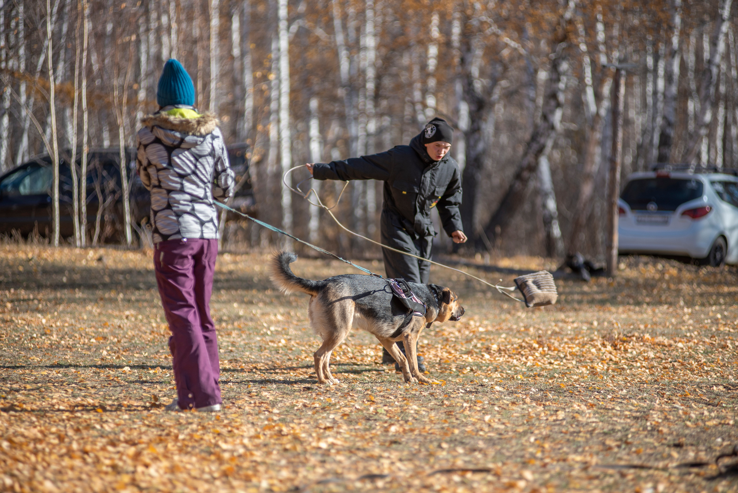 RUSSIAN HELPERS SCHOOL. Магнитогорск октябрь 2021. Дог-фотограф в Тюмени Александра Королева