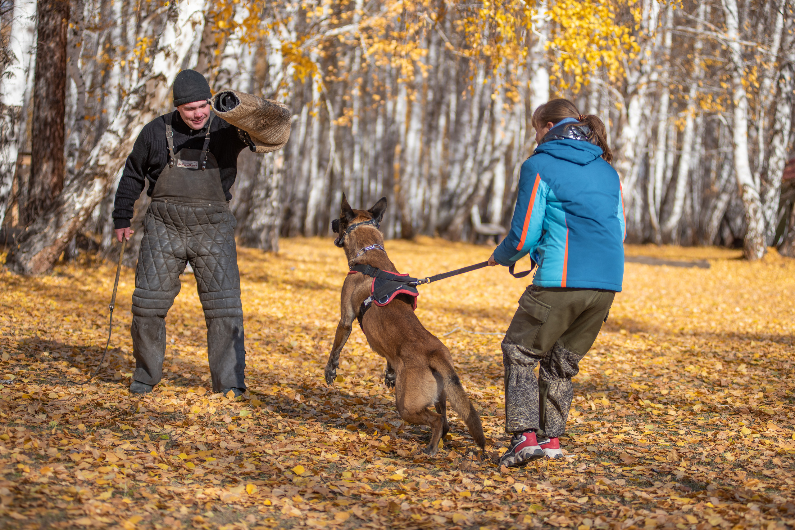 RUSSIAN HELPERS SCHOOL. Магнитогорск октябрь 2021. Дог-фотограф в Тюмени Александра Королева