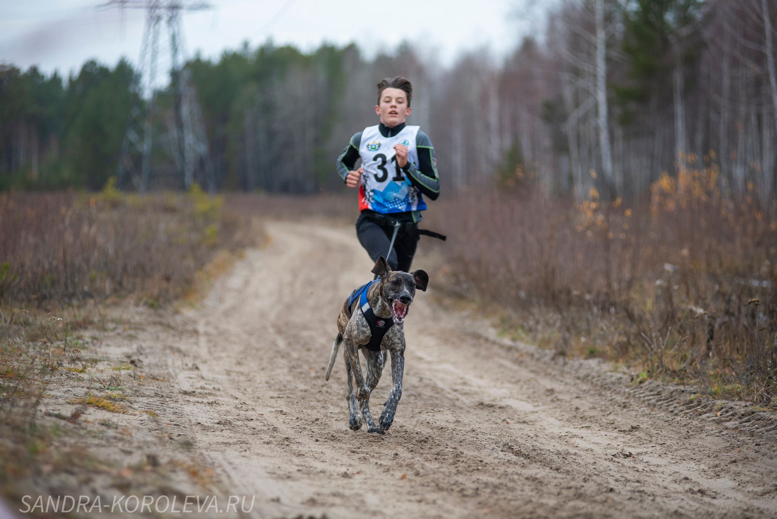 Спринт-гонка «Закрытие сезона» 24.10.2021. Дог-фотограф в Тюмени Александра Королева