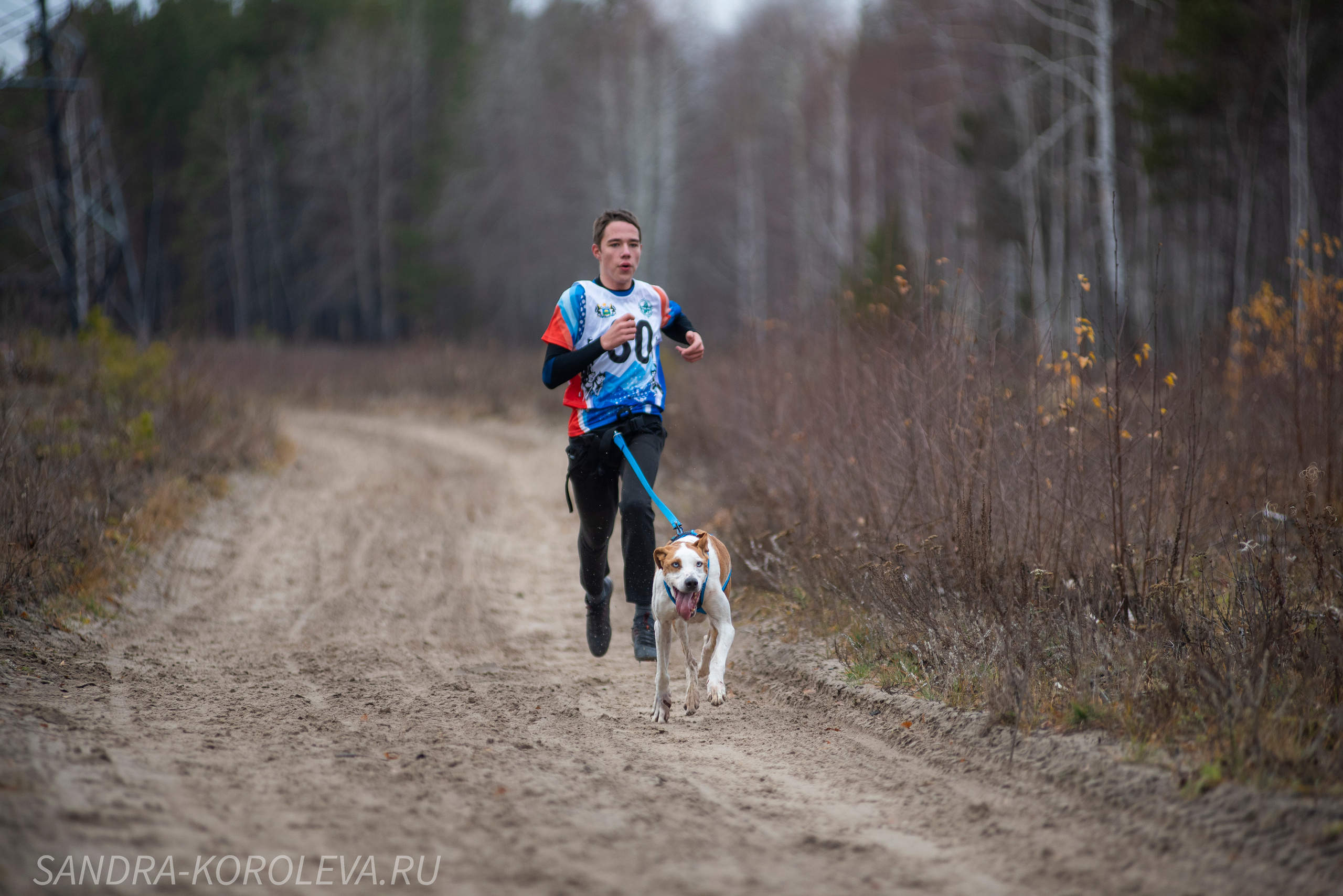 Спринт-гонка «Закрытие сезона» 24.10.2021. Дог-фотограф в Тюмени Александра Королева