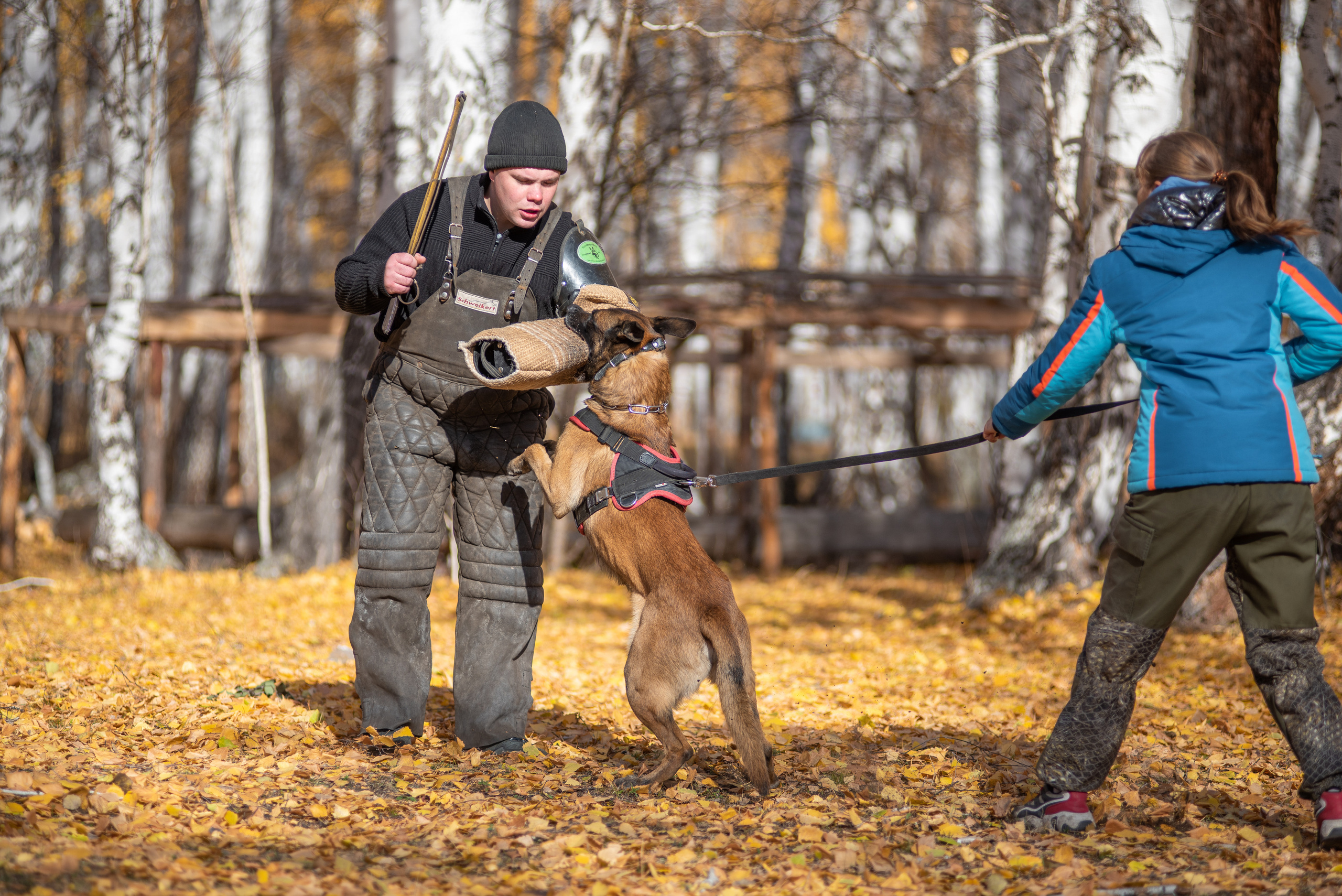 RUSSIAN HELPERS SCHOOL. Магнитогорск октябрь 2021. Дог-фотограф в Тюмени Александра Королева