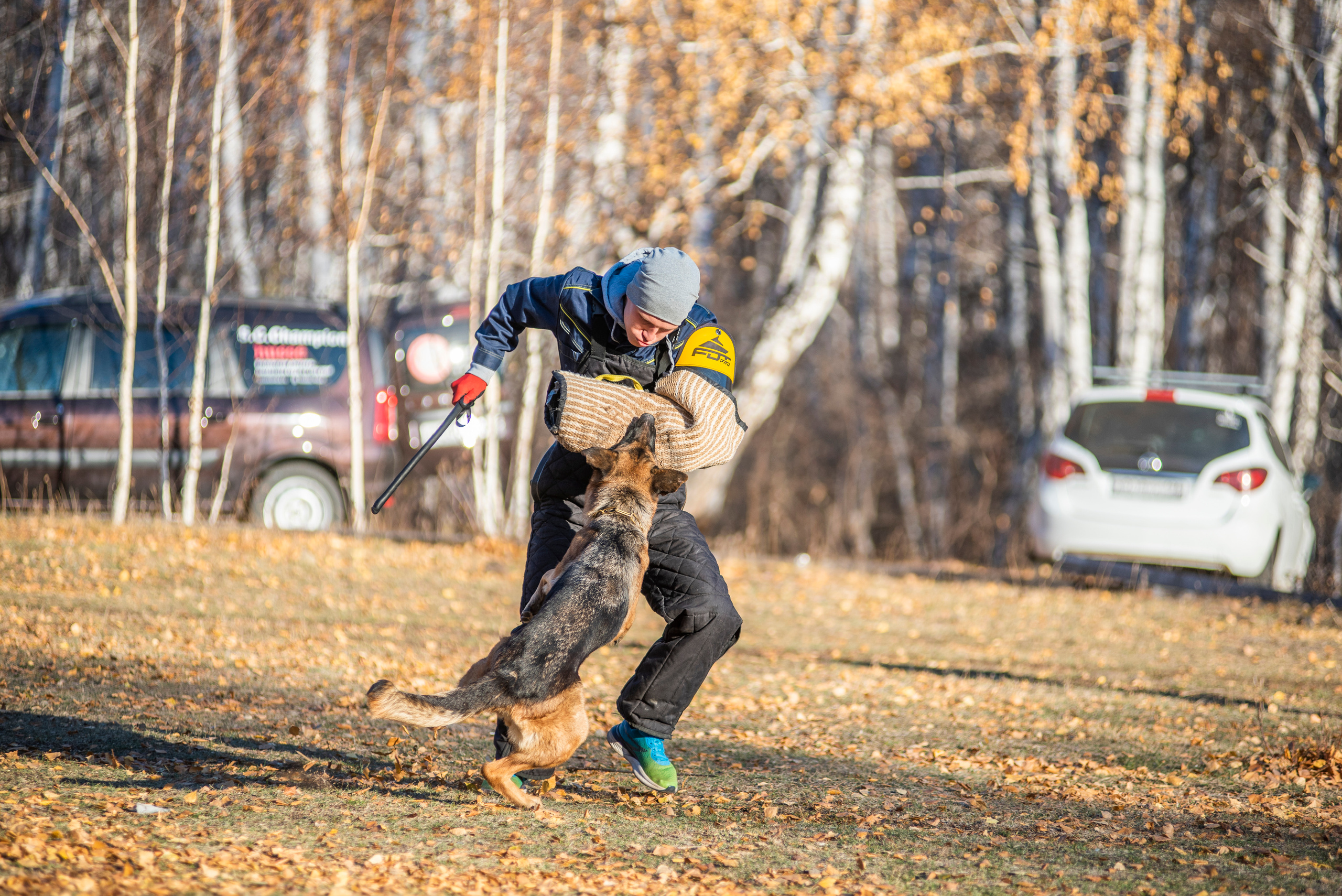 RUSSIAN HELPERS SCHOOL. Магнитогорск октябрь 2021. Дог-фотограф в Тюмени Александра Королева