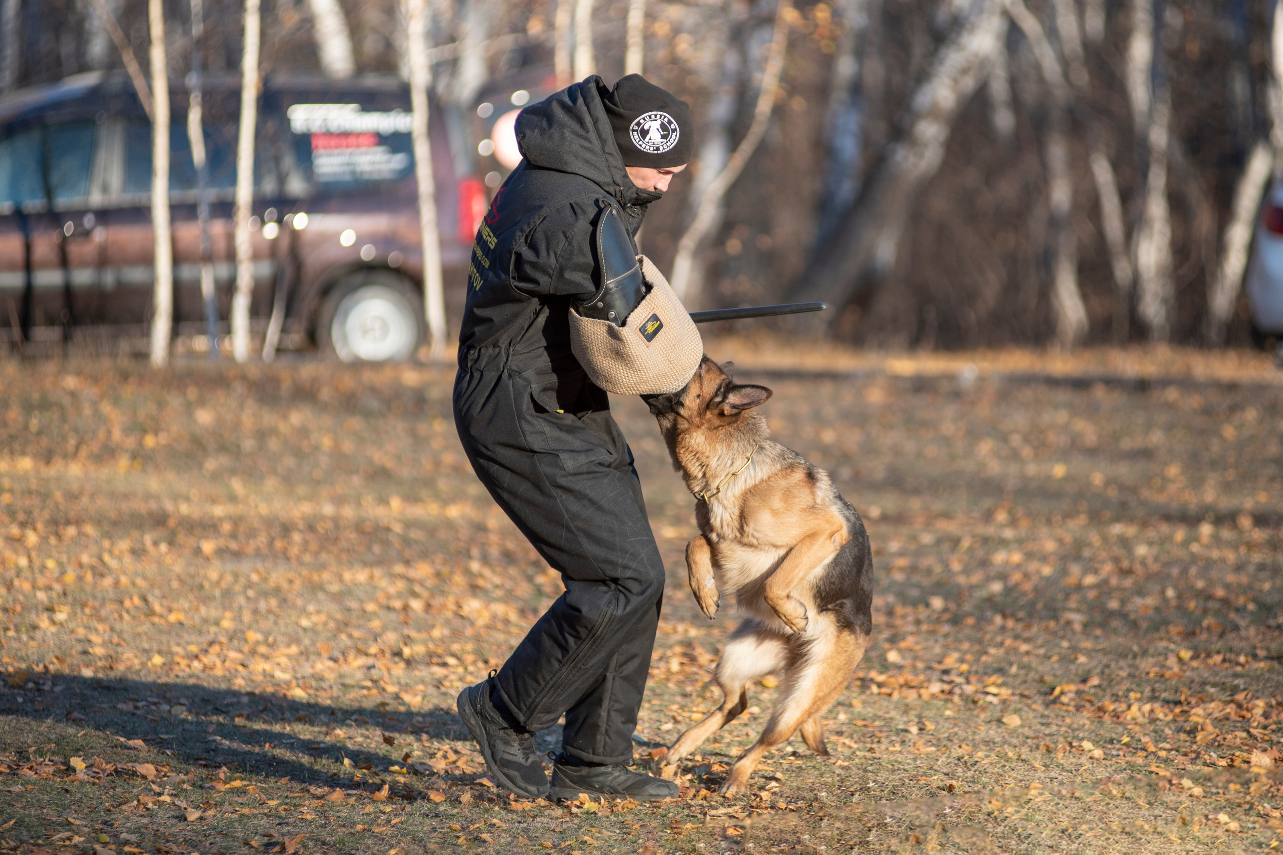RUSSIAN HELPERS SCHOOL. Магнитогорск октябрь 2021. Дог-фотограф в Тюмени Александра Королева