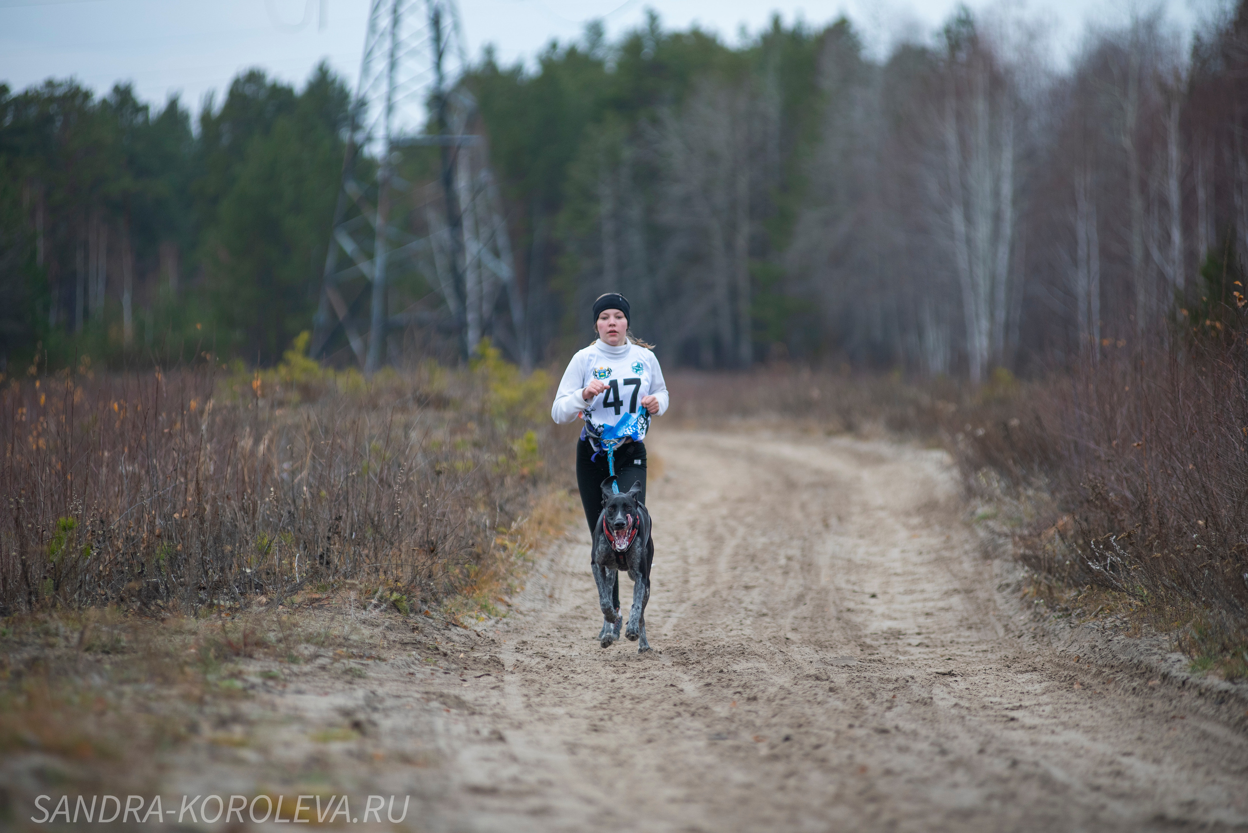 Спринт-гонка «Закрытие сезона» 24.10.2021. Дог-фотограф в Тюмени Александра Королева