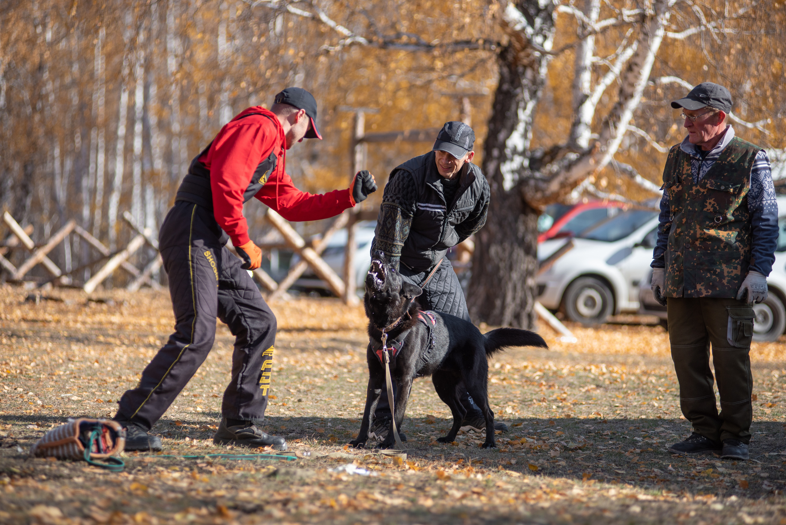 RUSSIAN HELPERS SCHOOL. Магнитогорск октябрь 2021. Дог-фотограф в Тюмени Александра Королева
