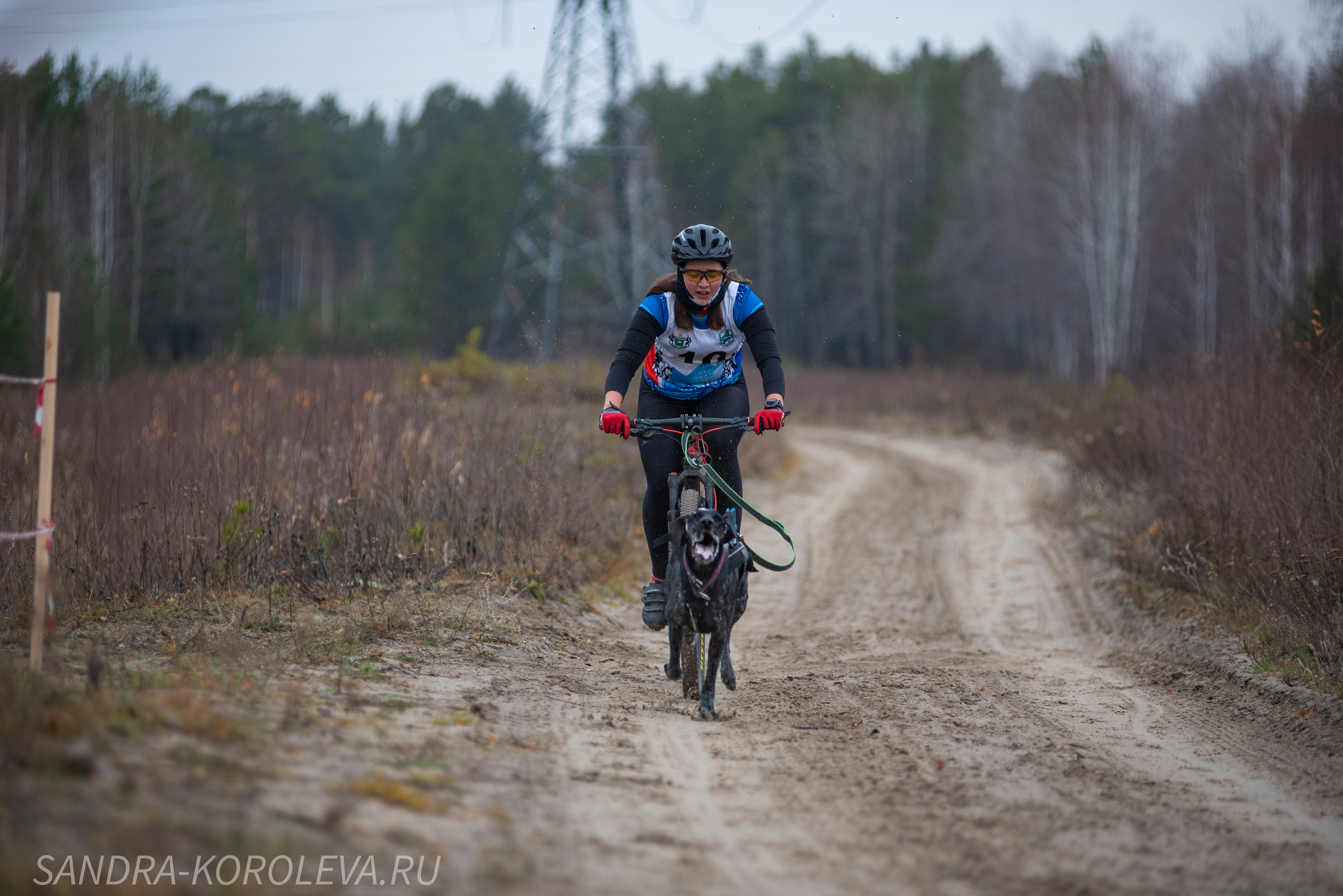 Спринт-гонка «Закрытие сезона» 24.10.2021. Дог-фотограф в Тюмени Александра Королева