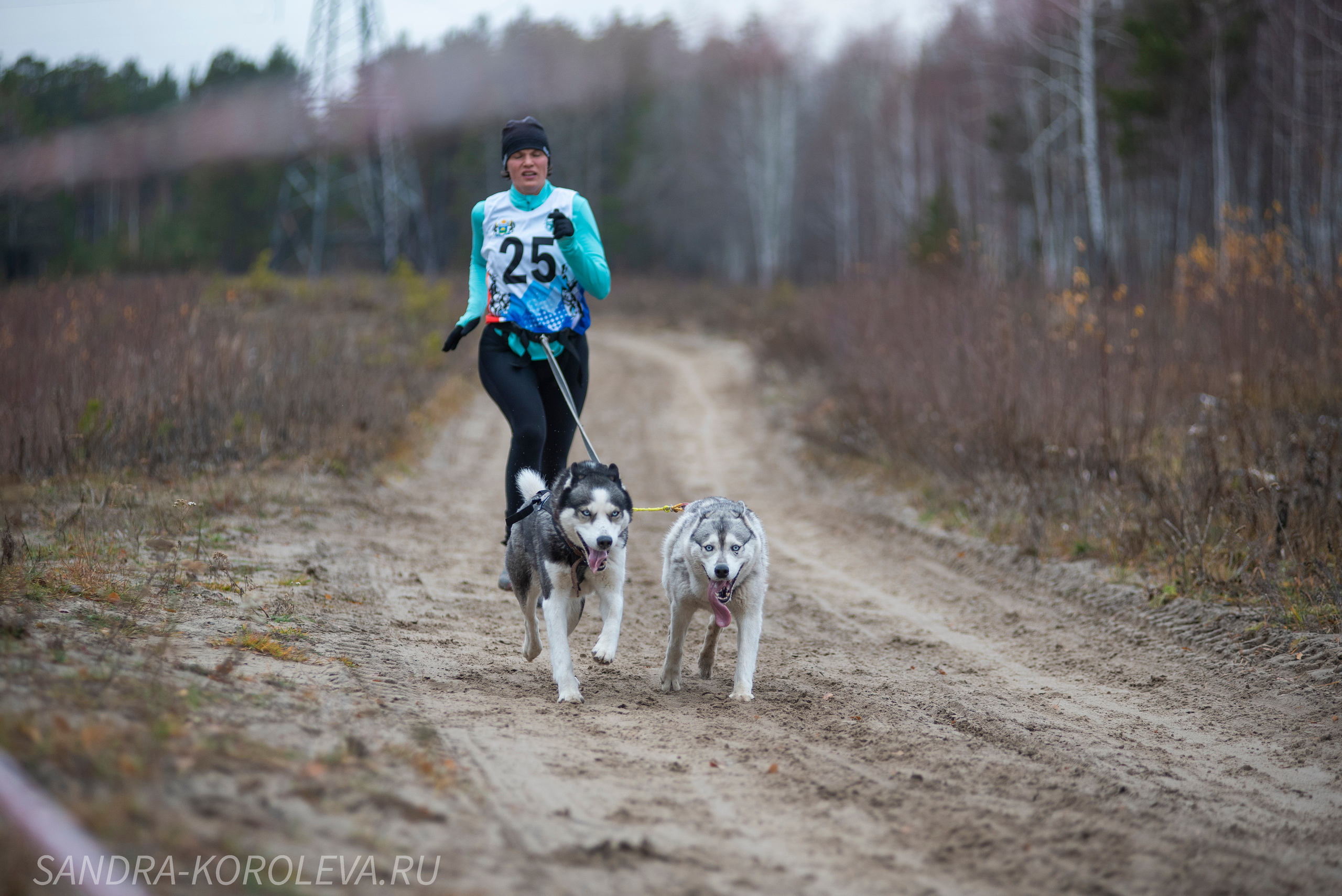 Спринт-гонка «Закрытие сезона» 24.10.2021. Дог-фотограф в Тюмени Александра Королева