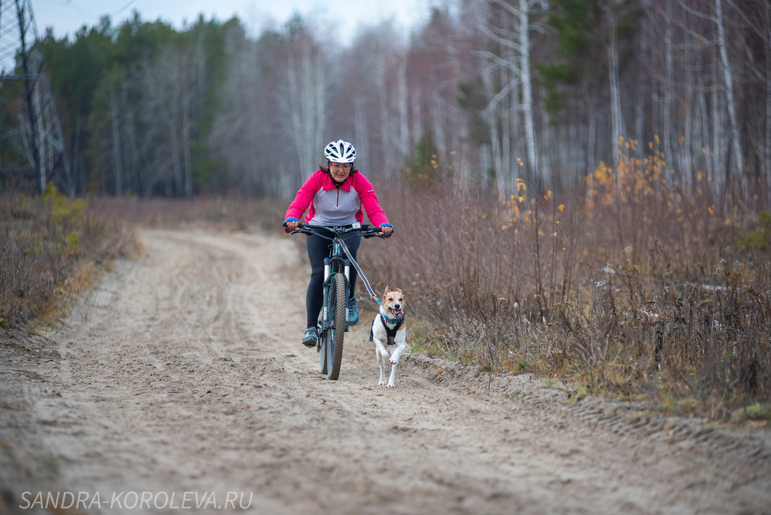 Спринт-гонка «Закрытие сезона» 24.10.2021. Дог-фотограф в Тюмени Александра Королева