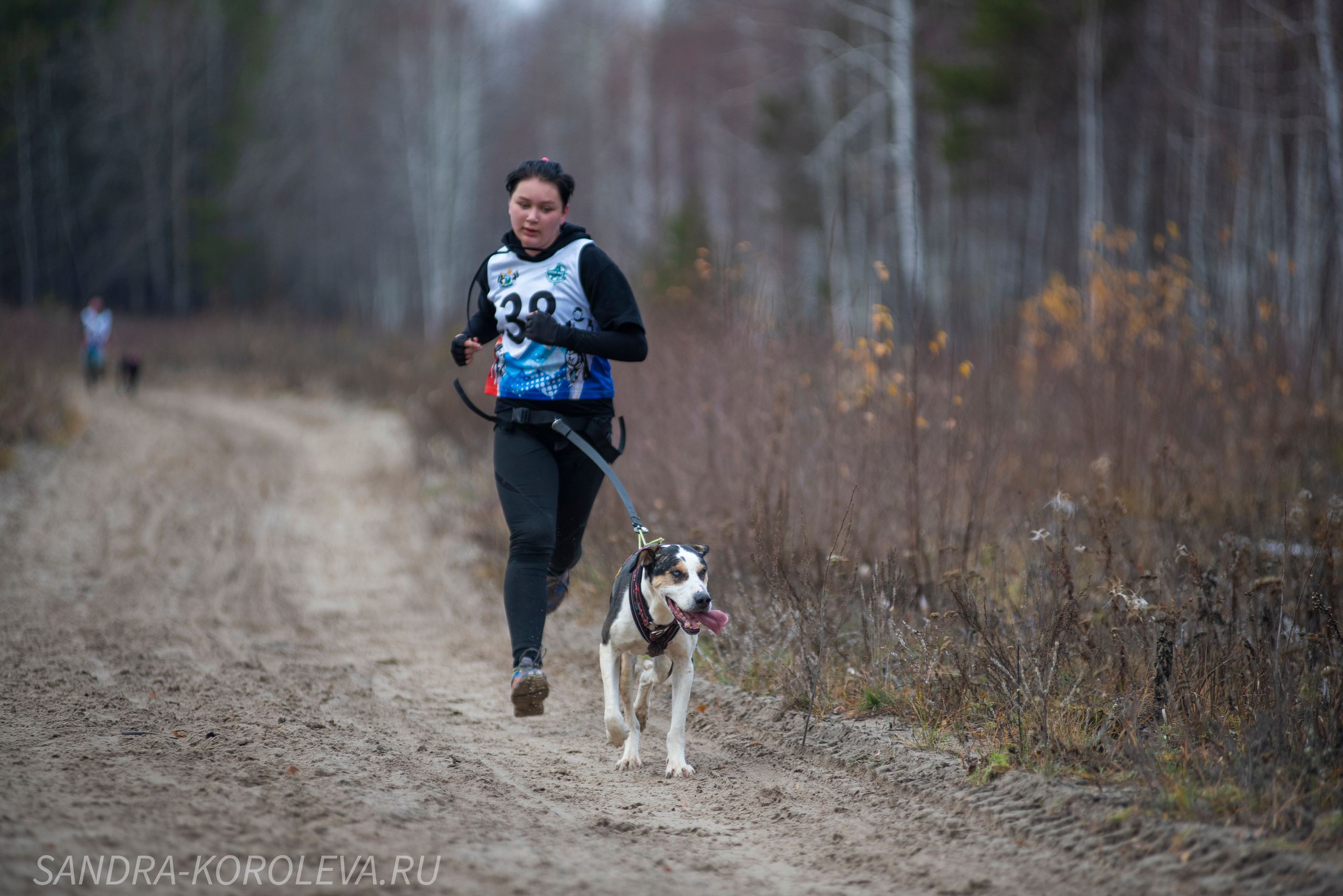 Спринт-гонка «Закрытие сезона» 24.10.2021. Дог-фотограф в Тюмени Александра Королева