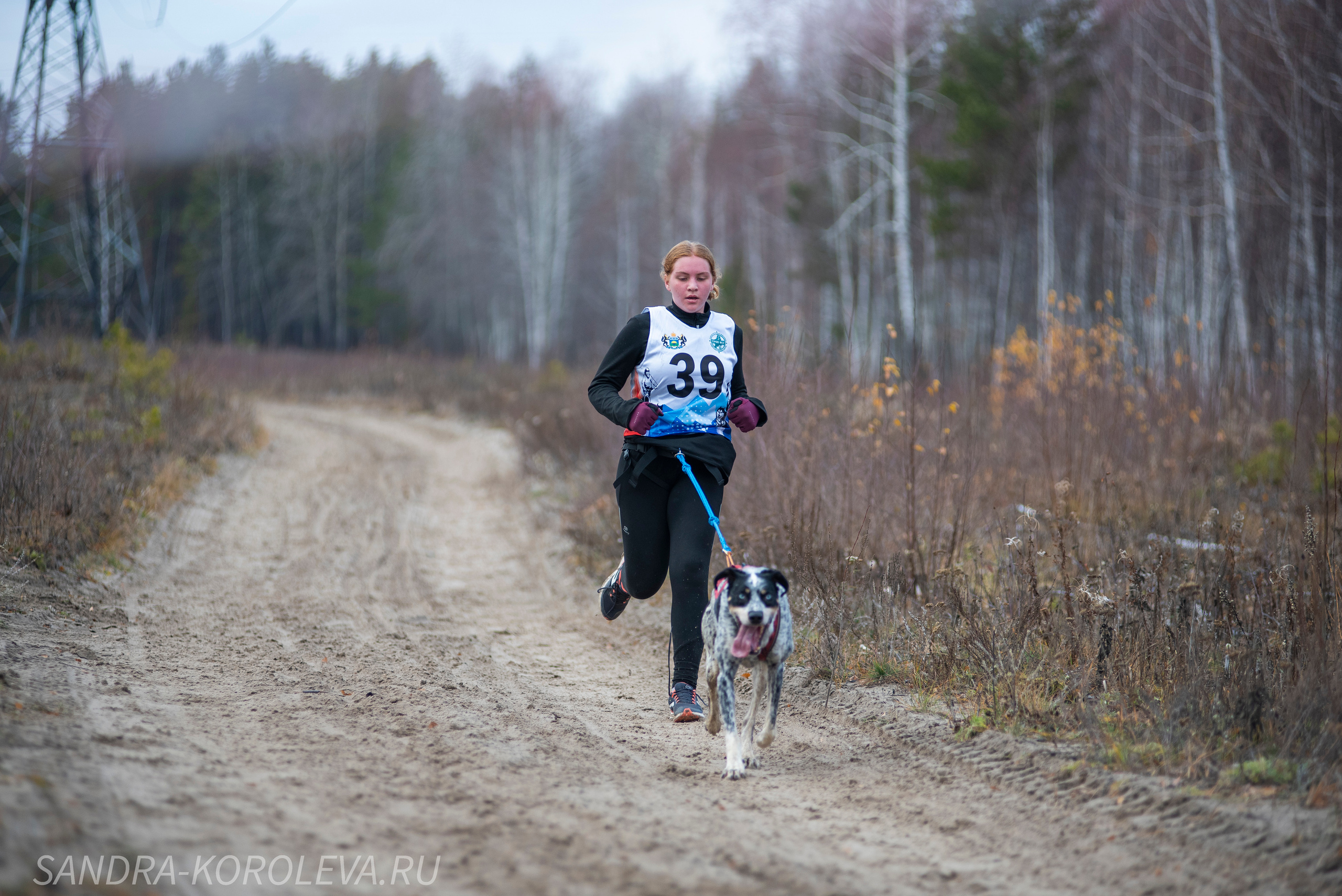 Спринт-гонка «Закрытие сезона» 24.10.2021. Дог-фотограф в Тюмени Александра Королева