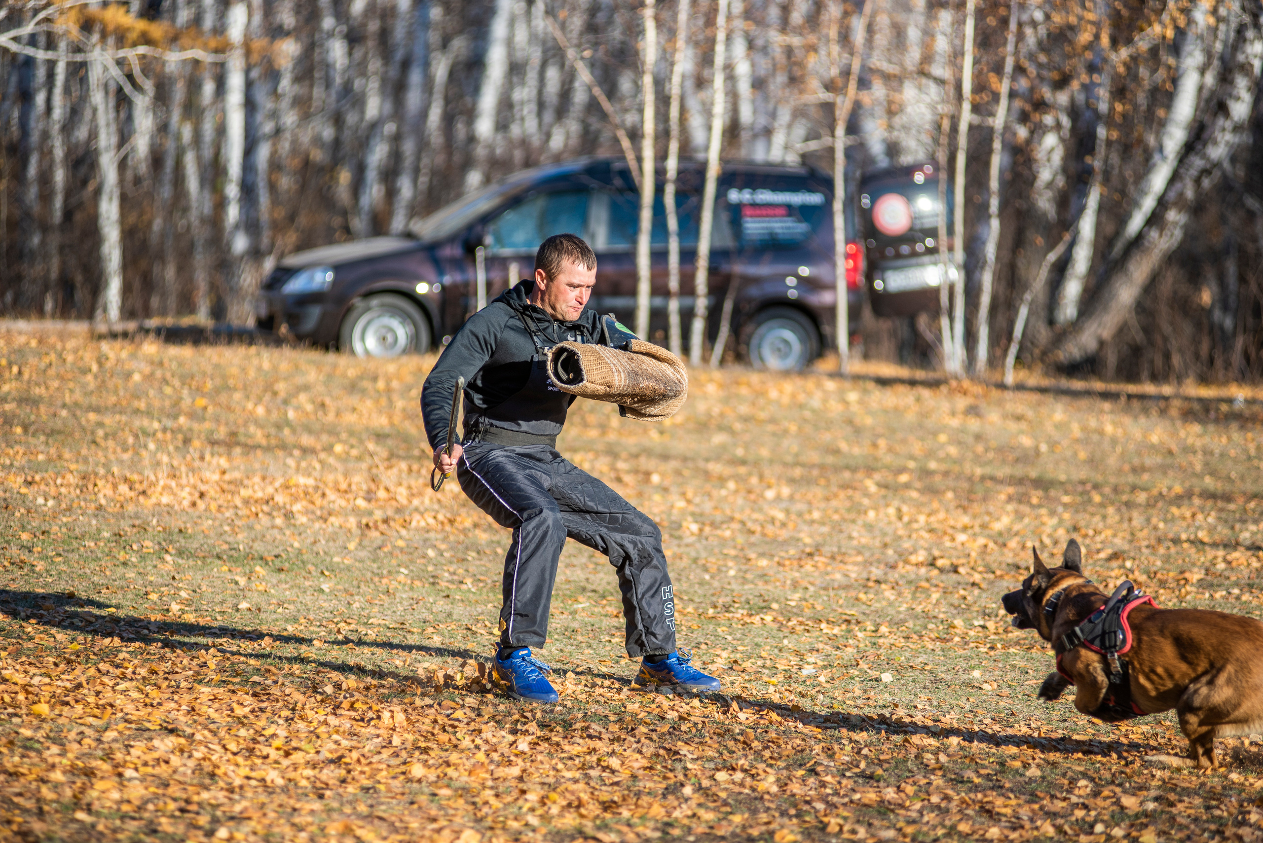 RUSSIAN HELPERS SCHOOL. Магнитогорск октябрь 2021. Дог-фотограф в Тюмени Александра Королева