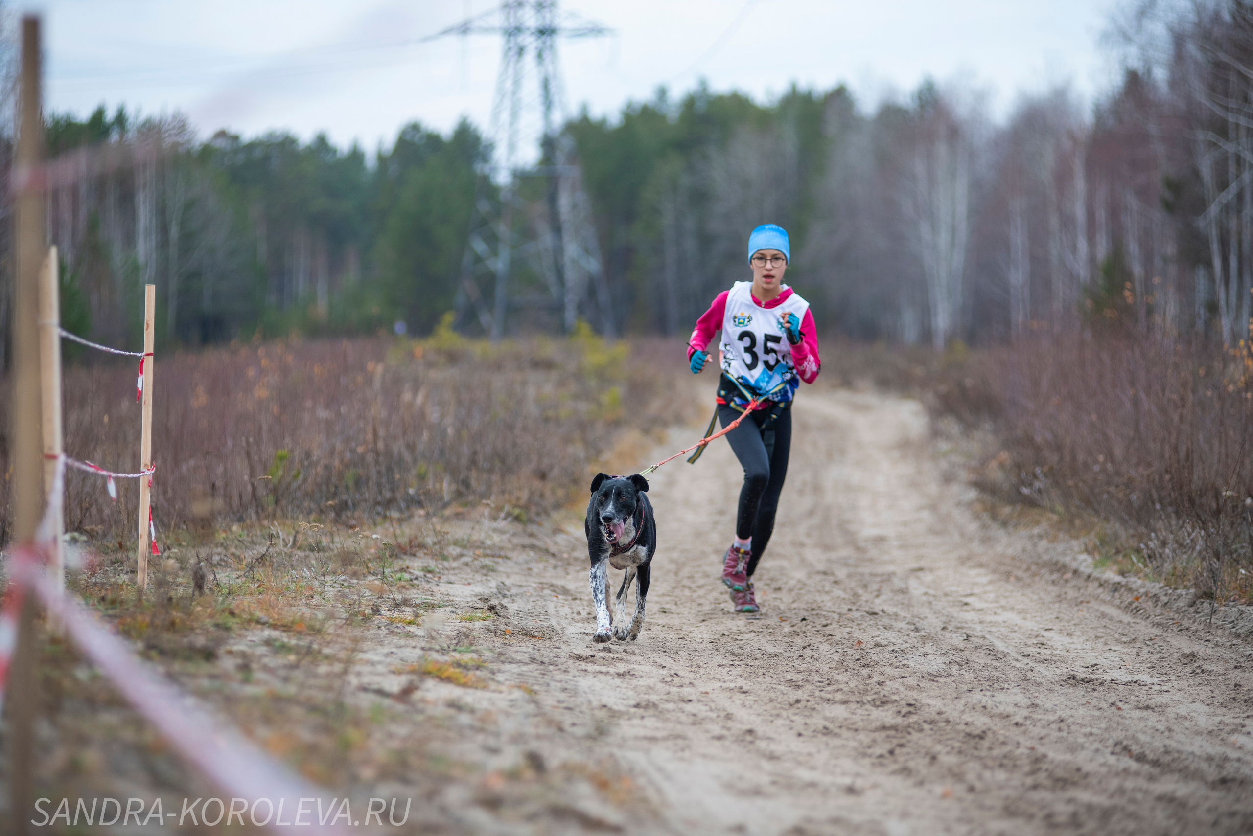 Спринт-гонка «Закрытие сезона» 24.10.2021. Дог-фотограф в Тюмени Александра Королева