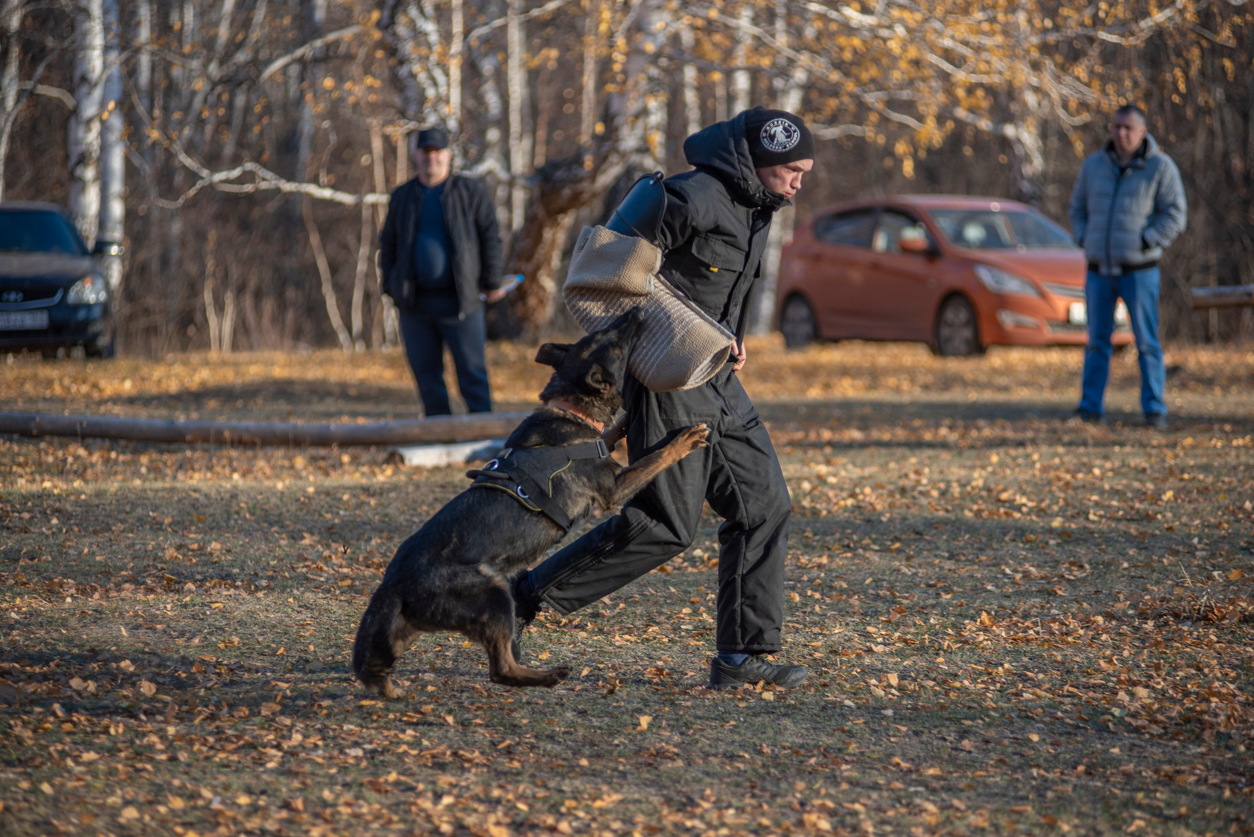 RUSSIAN HELPERS SCHOOL. Магнитогорск октябрь 2021. Дог-фотограф в Тюмени Александра Королева