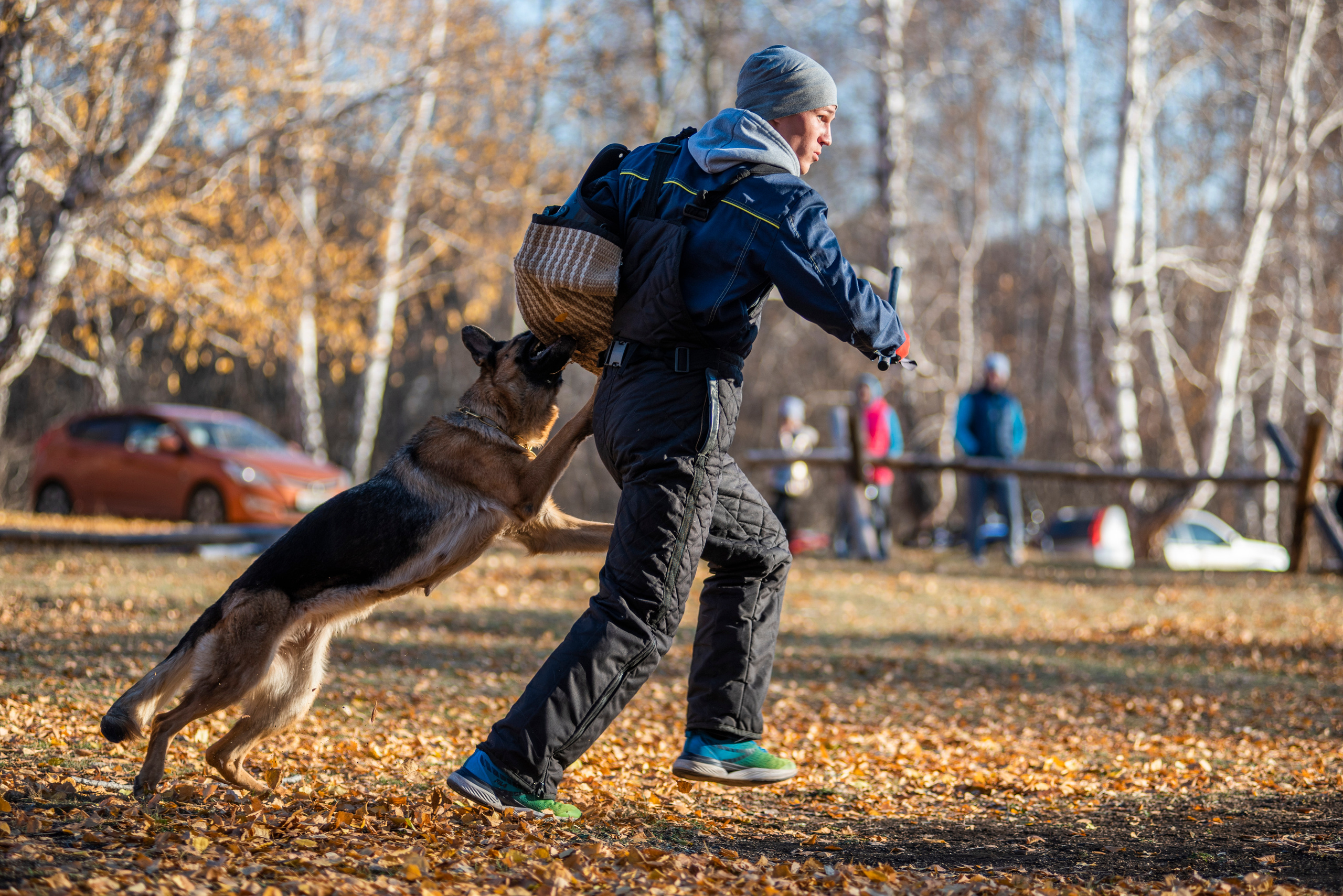RUSSIAN HELPERS SCHOOL. Магнитогорск октябрь 2021. Дог-фотограф в Тюмени Александра Королева
