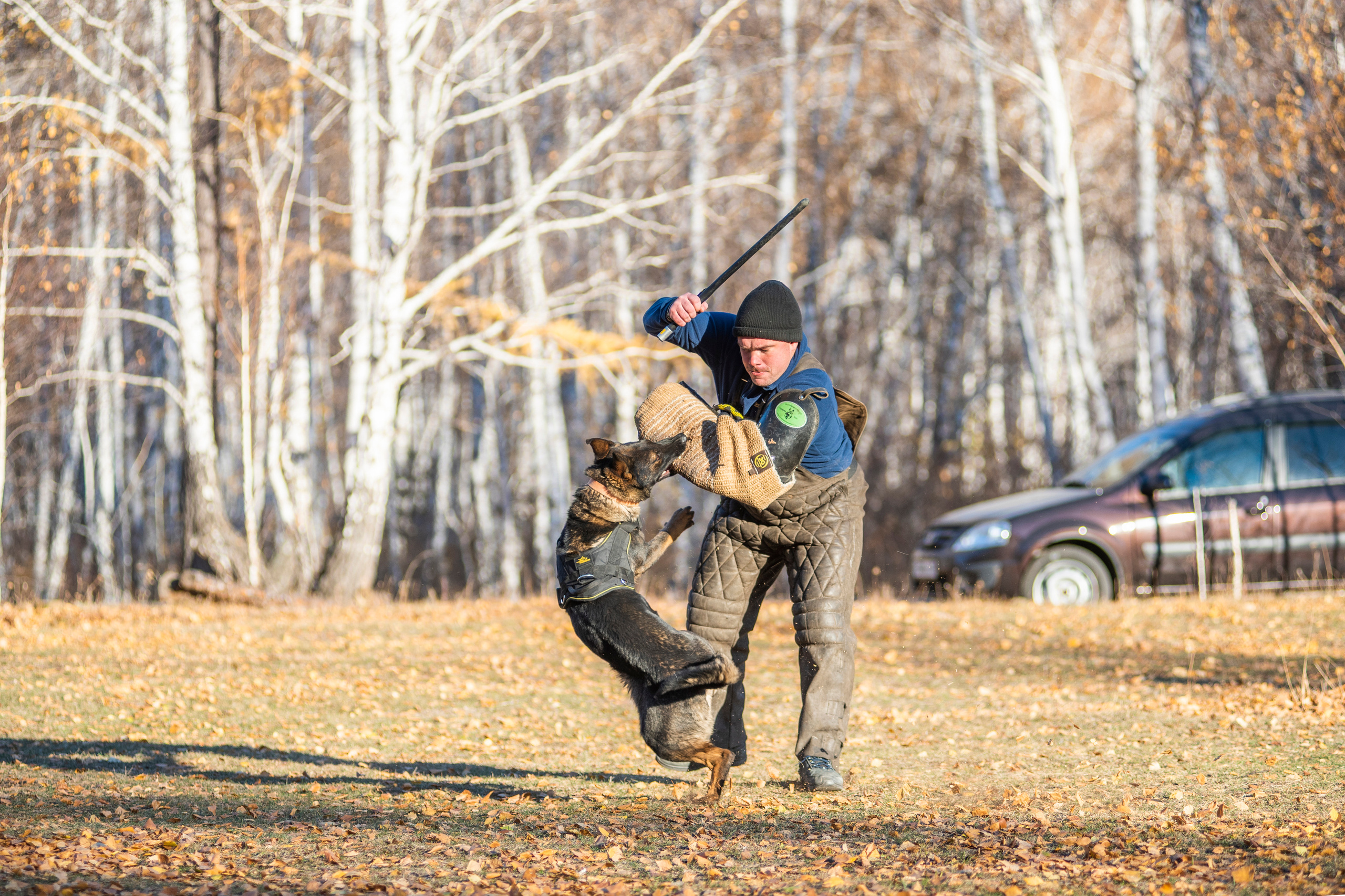 RUSSIAN HELPERS SCHOOL. Магнитогорск октябрь 2021. Дог-фотограф в Тюмени Александра Королева