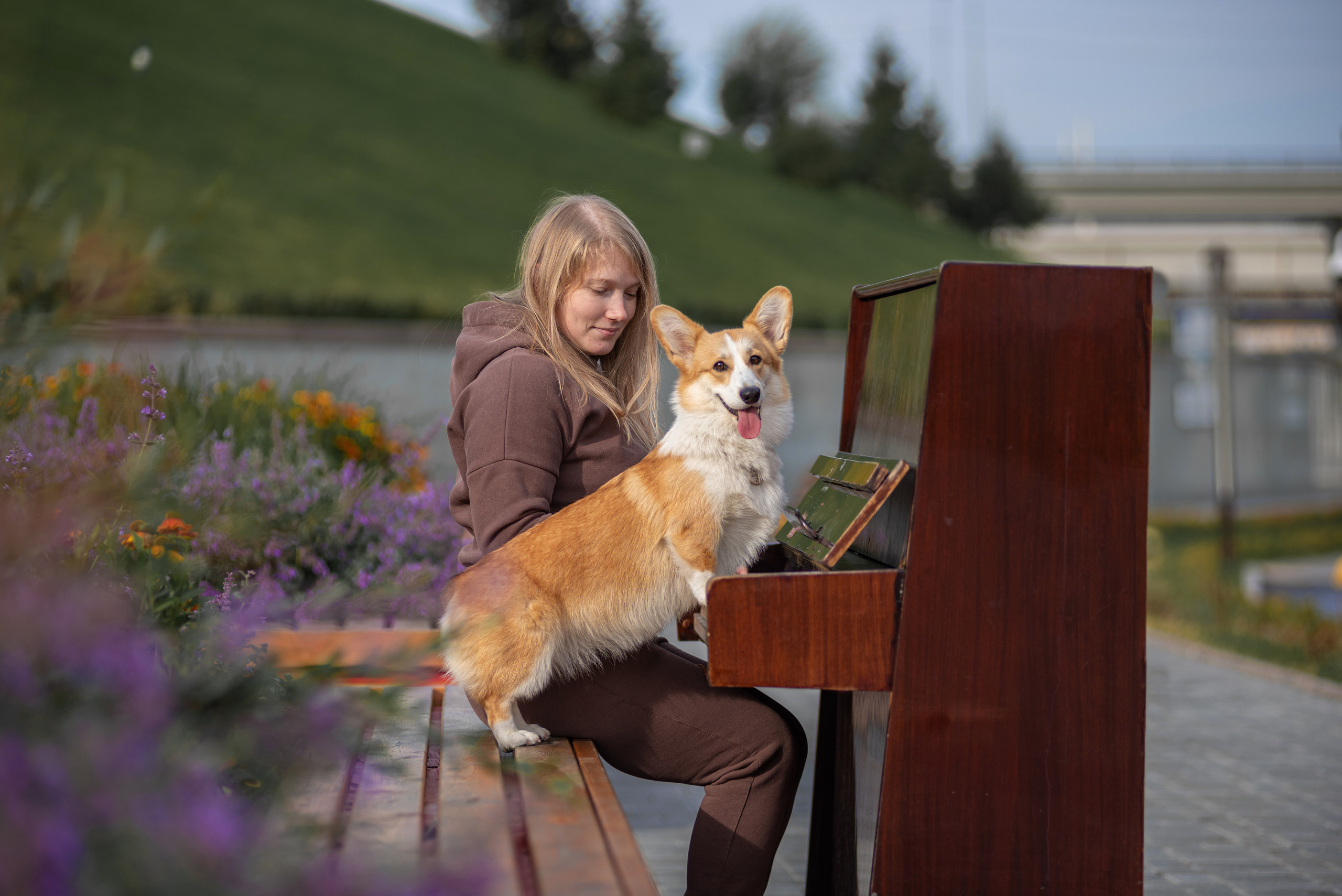 Ася и Плюша. Дог-фотограф в Тюмени Александра Королева