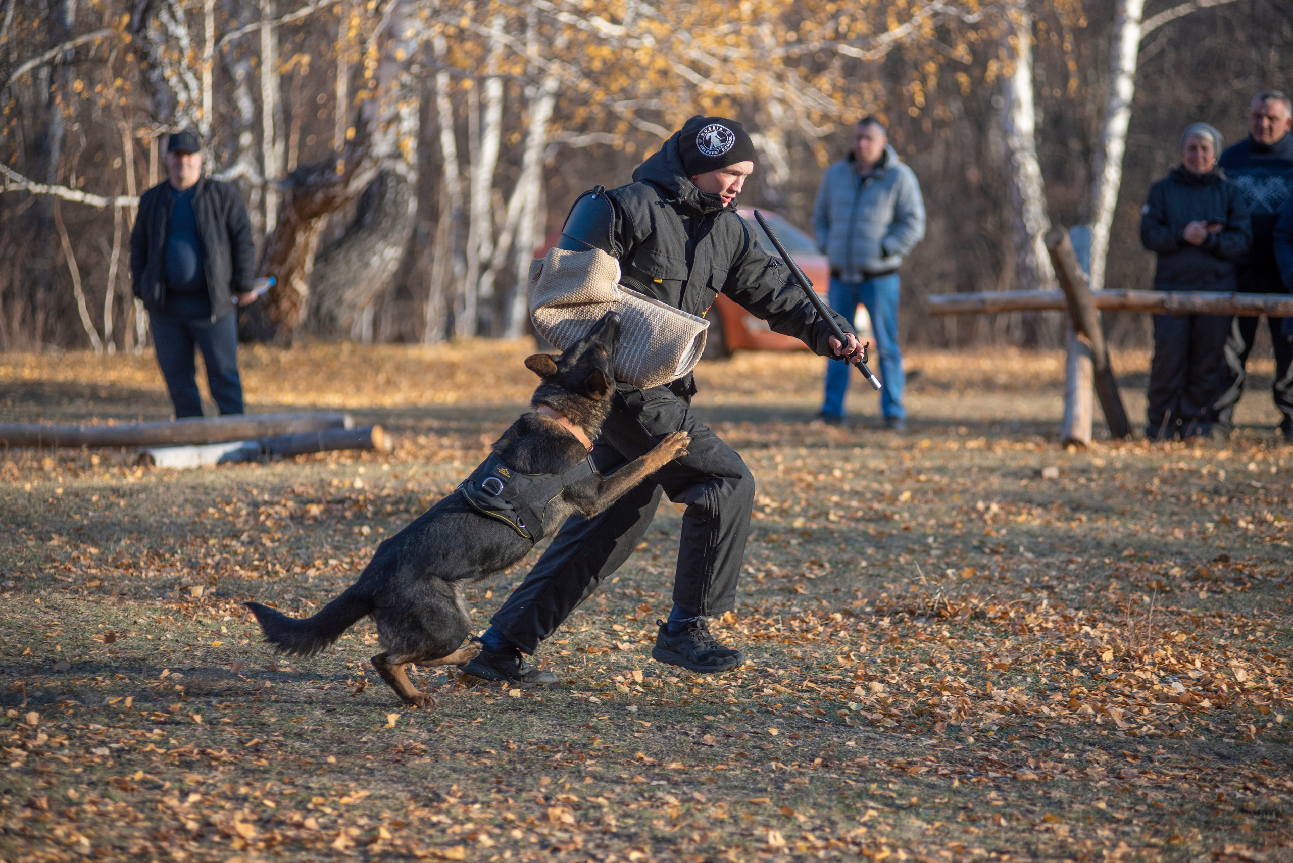 RUSSIAN HELPERS SCHOOL. Магнитогорск октябрь 2021. Дог-фотограф в Тюмени Александра Королева