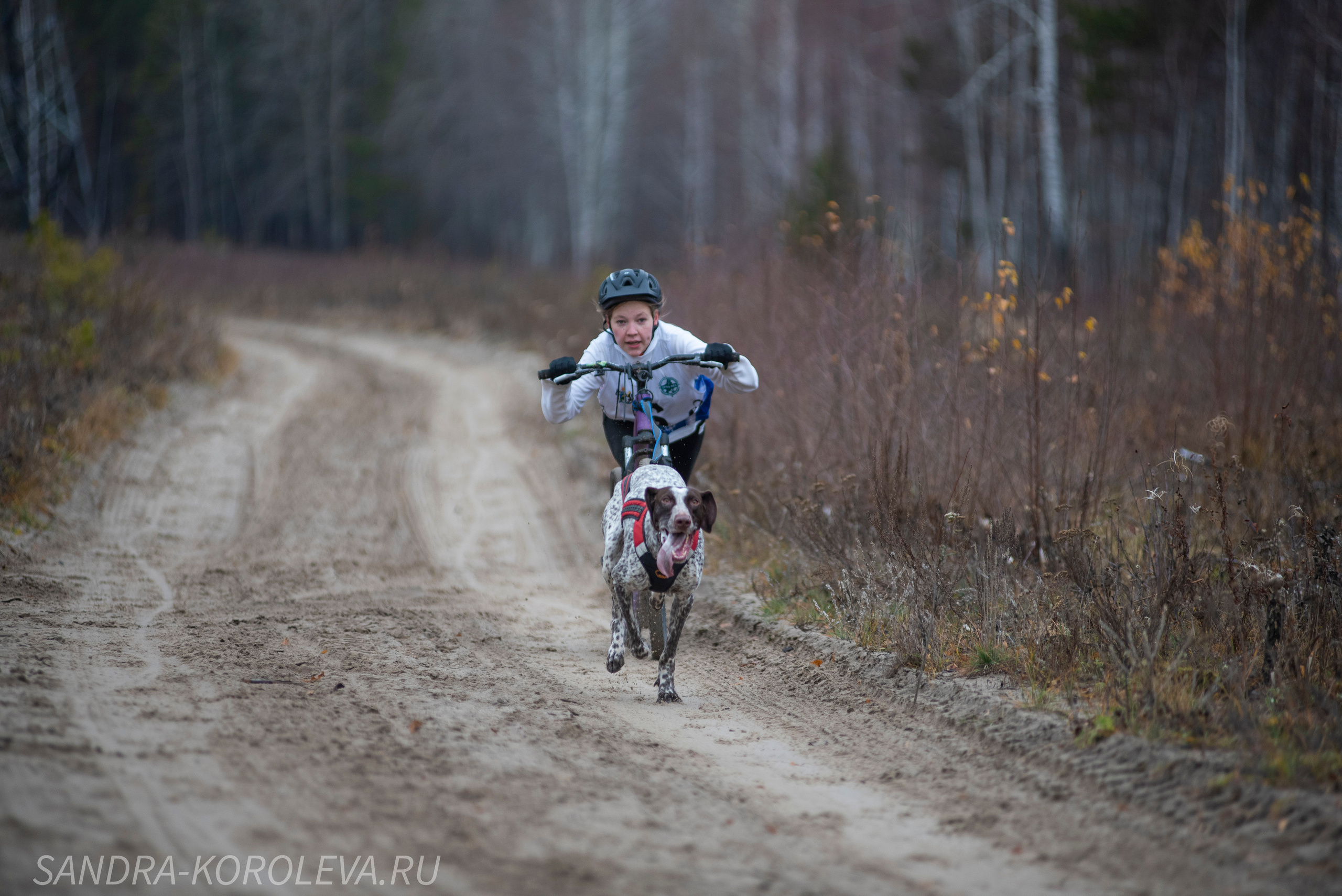 Спринт-гонка «Закрытие сезона» 24.10.2021. Дог-фотограф в Тюмени Александра Королева