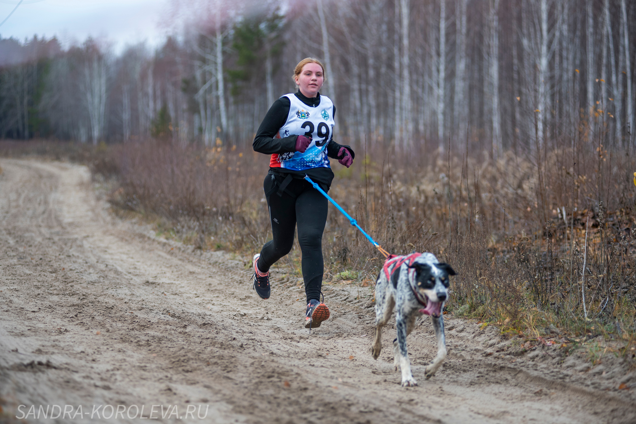 Спринт-гонка «Закрытие сезона» 24.10.2021. Дог-фотограф в Тюмени Александра Королева