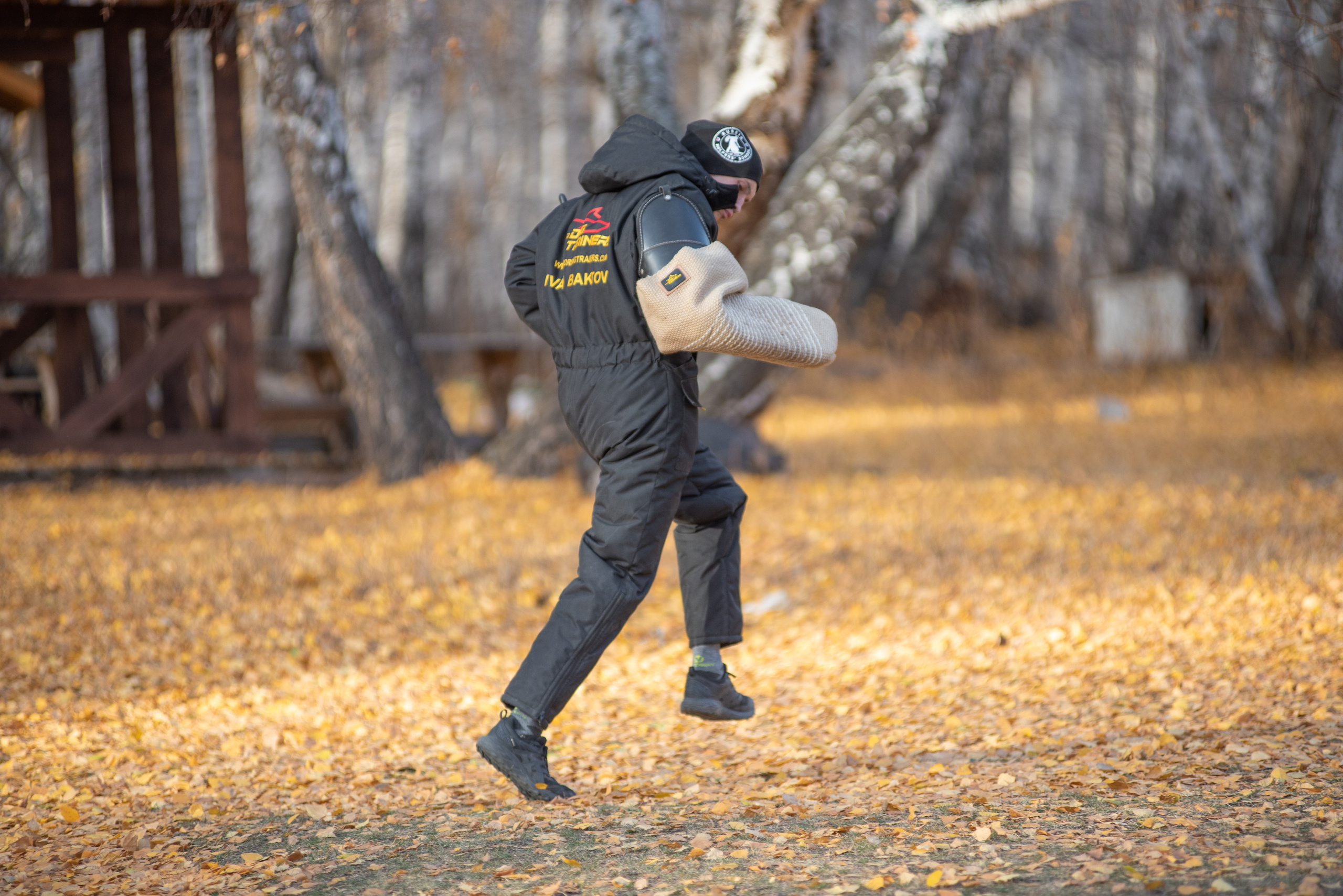 RUSSIAN HELPERS SCHOOL. Магнитогорск октябрь 2021. Дог-фотограф в Тюмени Александра Королева