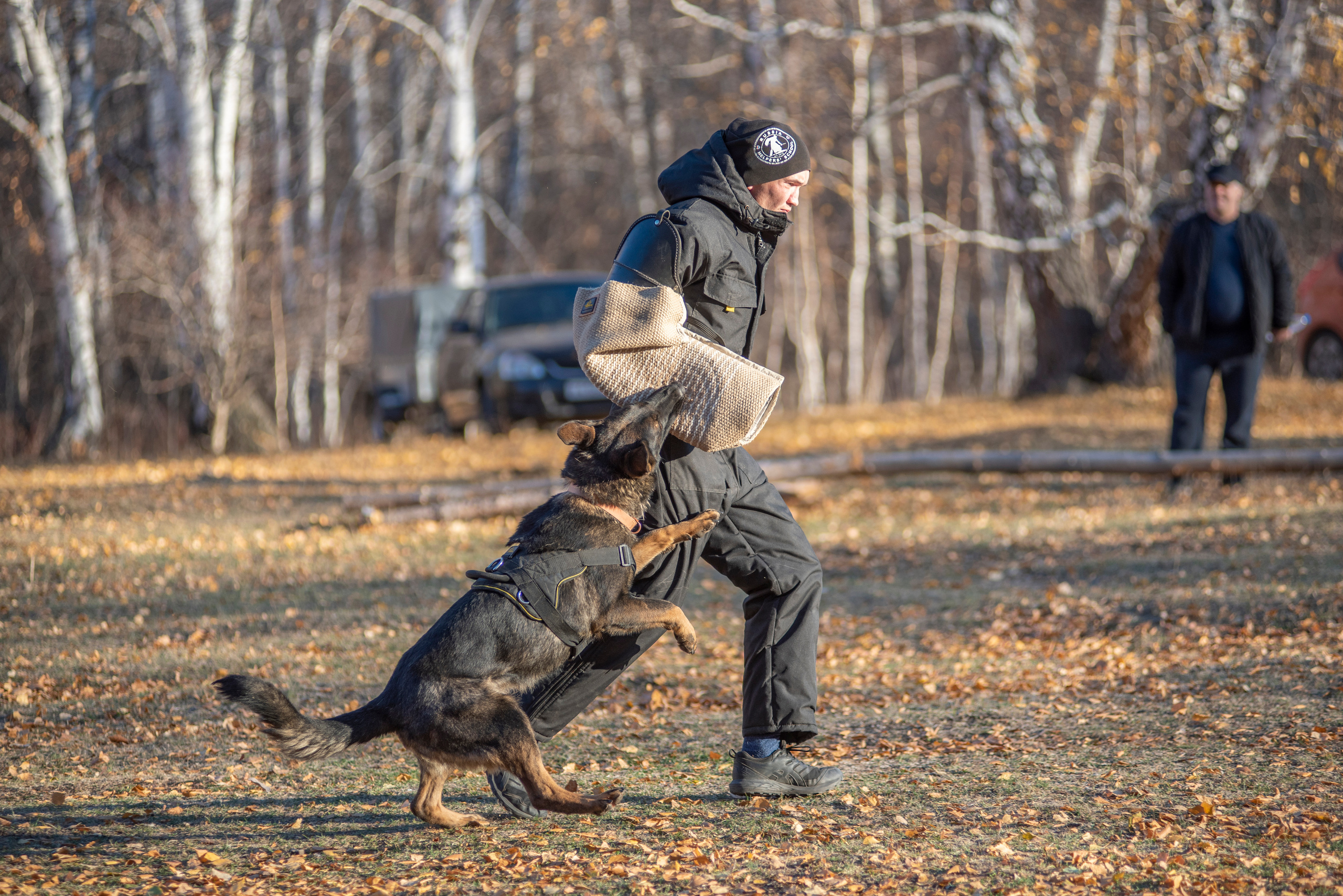 RUSSIAN HELPERS SCHOOL. Магнитогорск октябрь 2021. Дог-фотограф в Тюмени Александра Королева