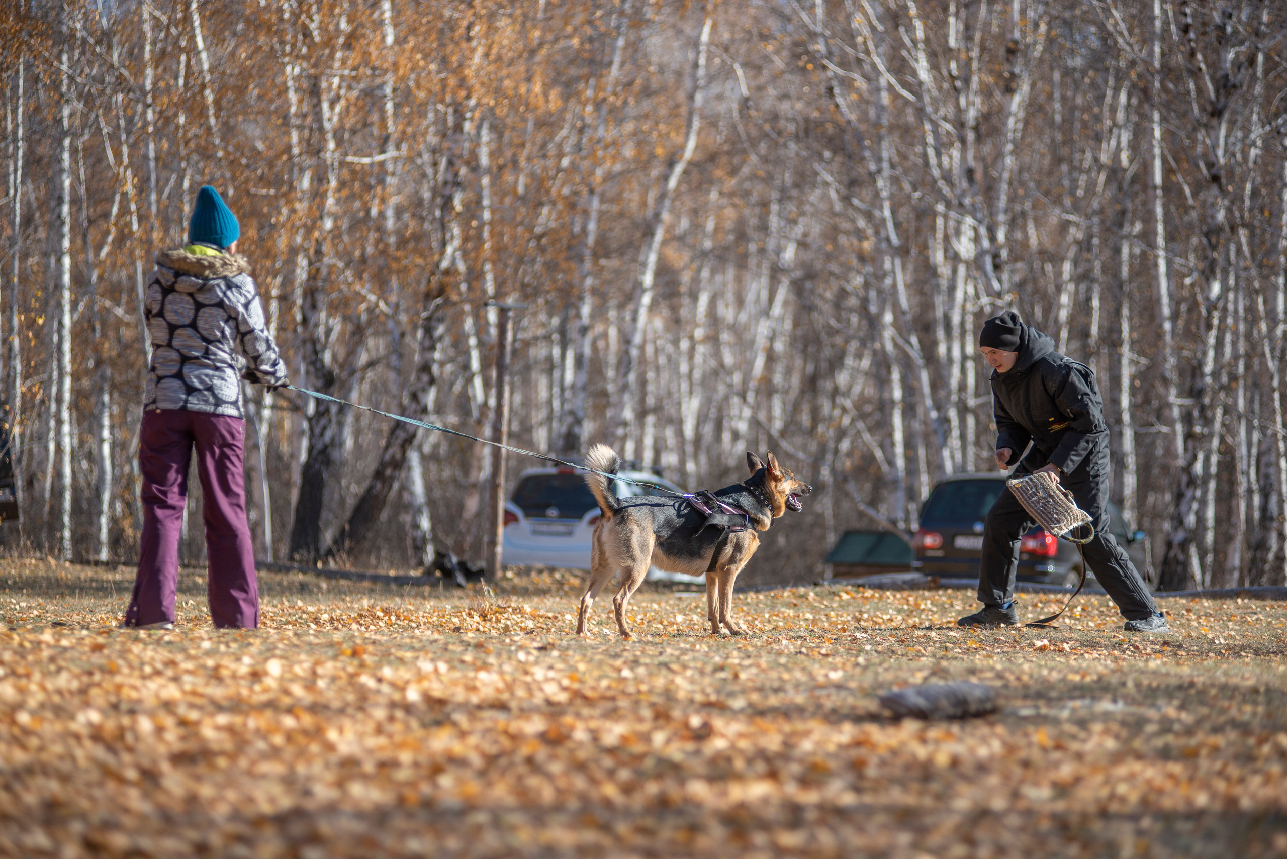 RUSSIAN HELPERS SCHOOL. Магнитогорск октябрь 2021. Дог-фотограф в Тюмени Александра Королева