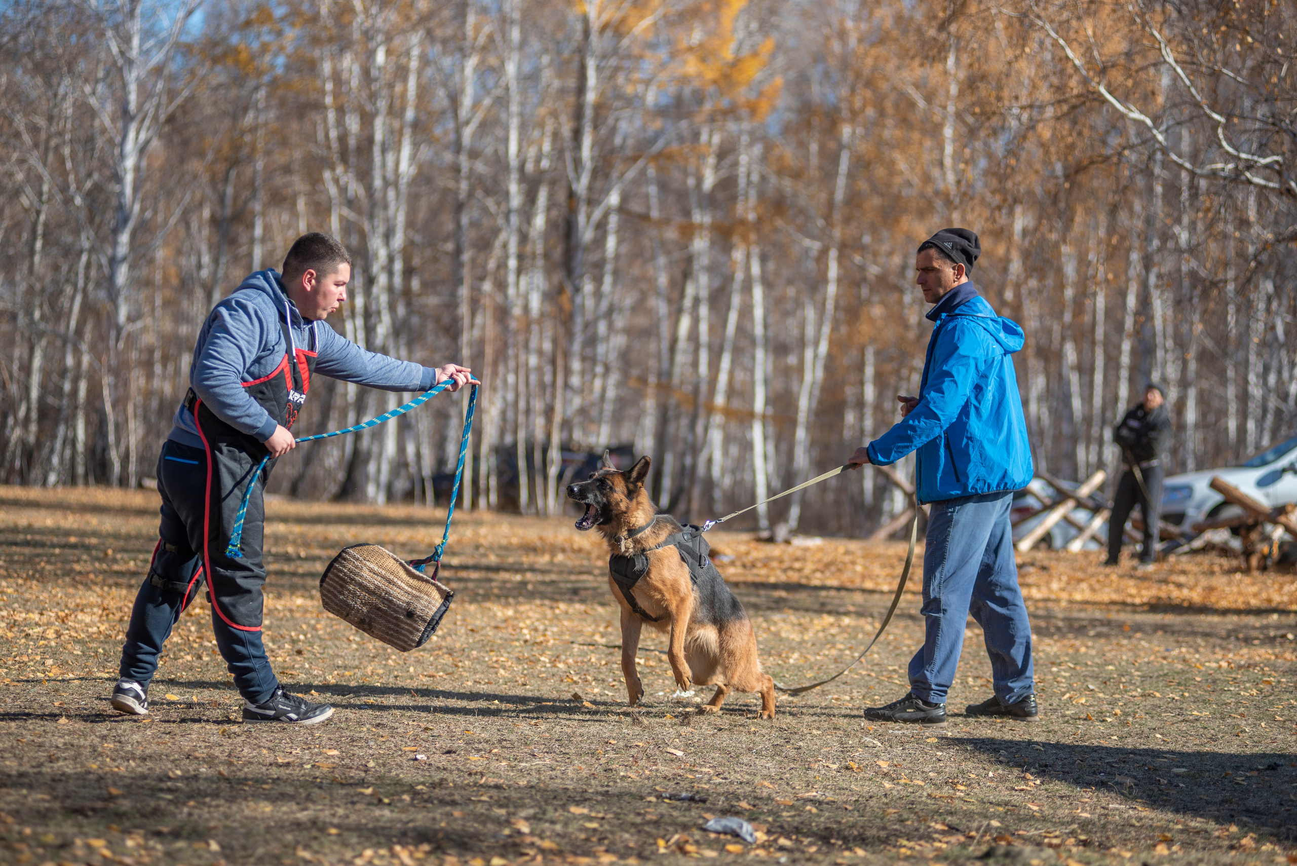 RUSSIAN HELPERS SCHOOL. Магнитогорск октябрь 2021. Дог-фотограф в Тюмени Александра Королева