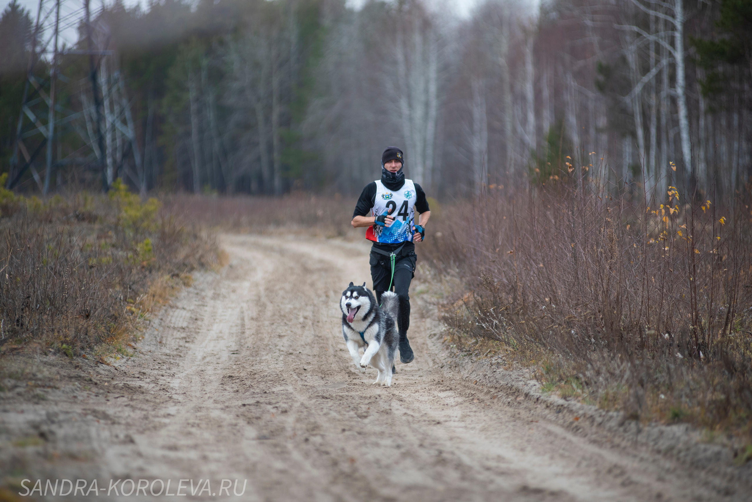 Спринт-гонка «Закрытие сезона» 24.10.2021. Дог-фотограф в Тюмени Александра Королева