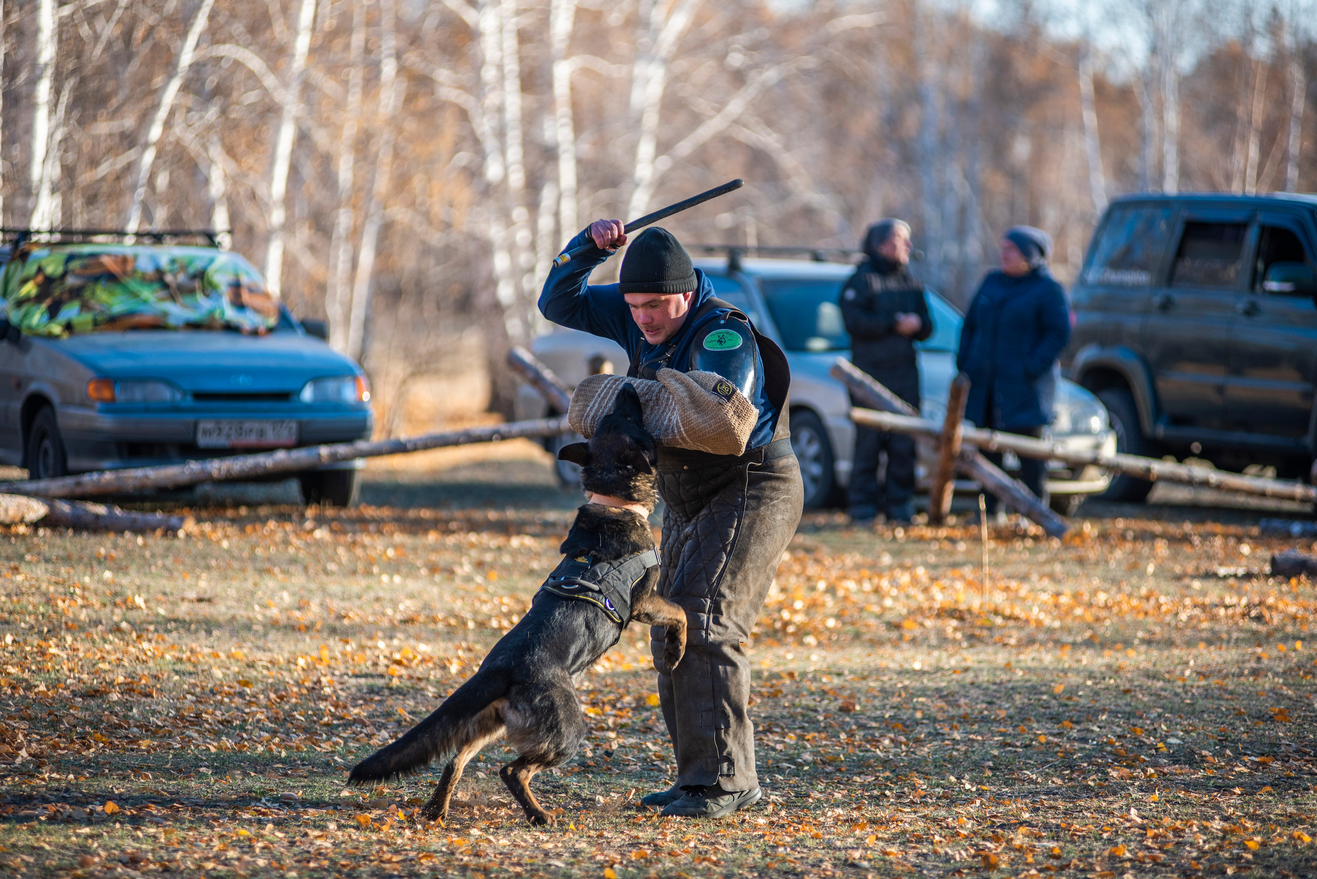 RUSSIAN HELPERS SCHOOL. Магнитогорск октябрь 2021. Дог-фотограф в Тюмени Александра Королева