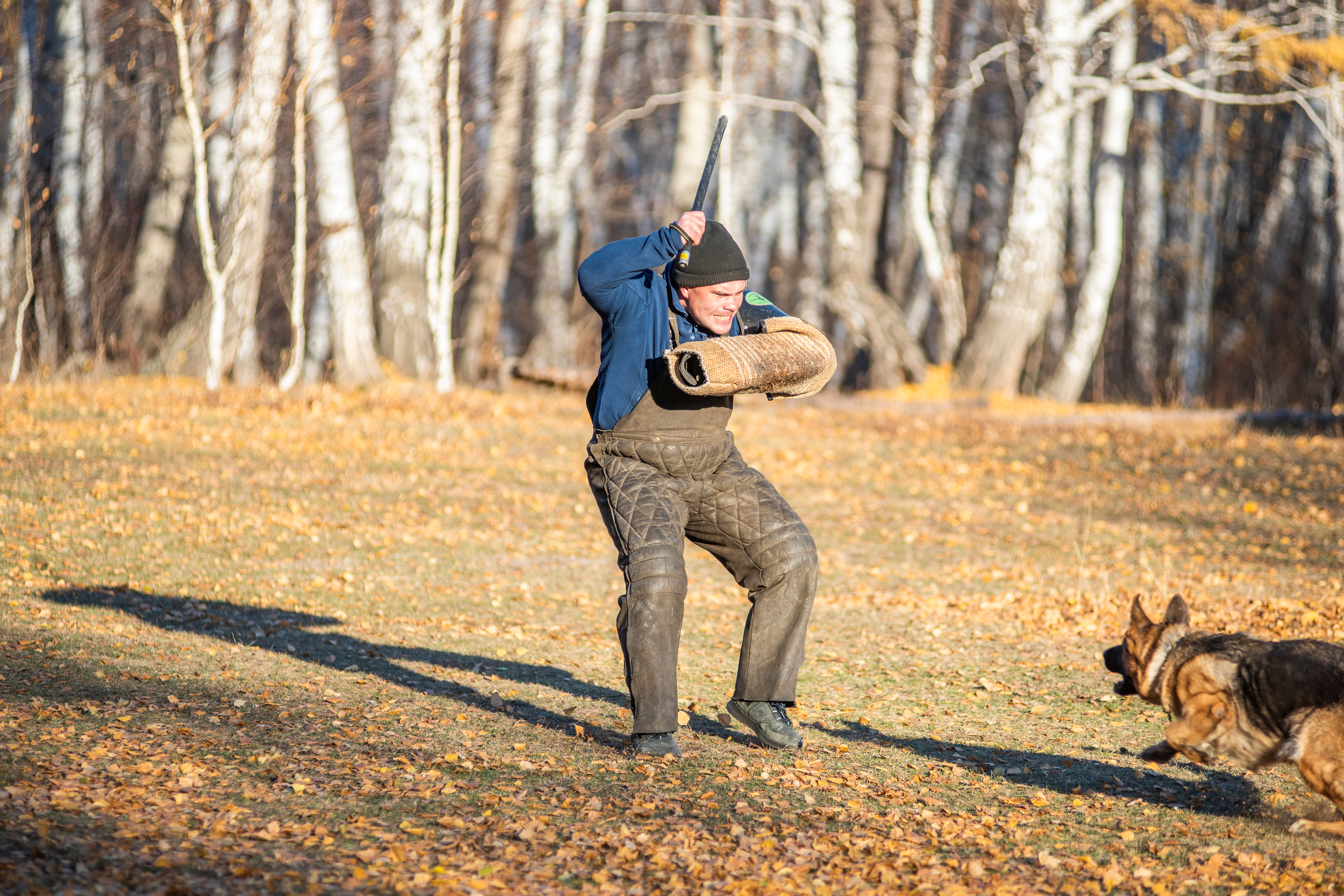 RUSSIAN HELPERS SCHOOL. Магнитогорск октябрь 2021. Дог-фотограф в Тюмени Александра Королева