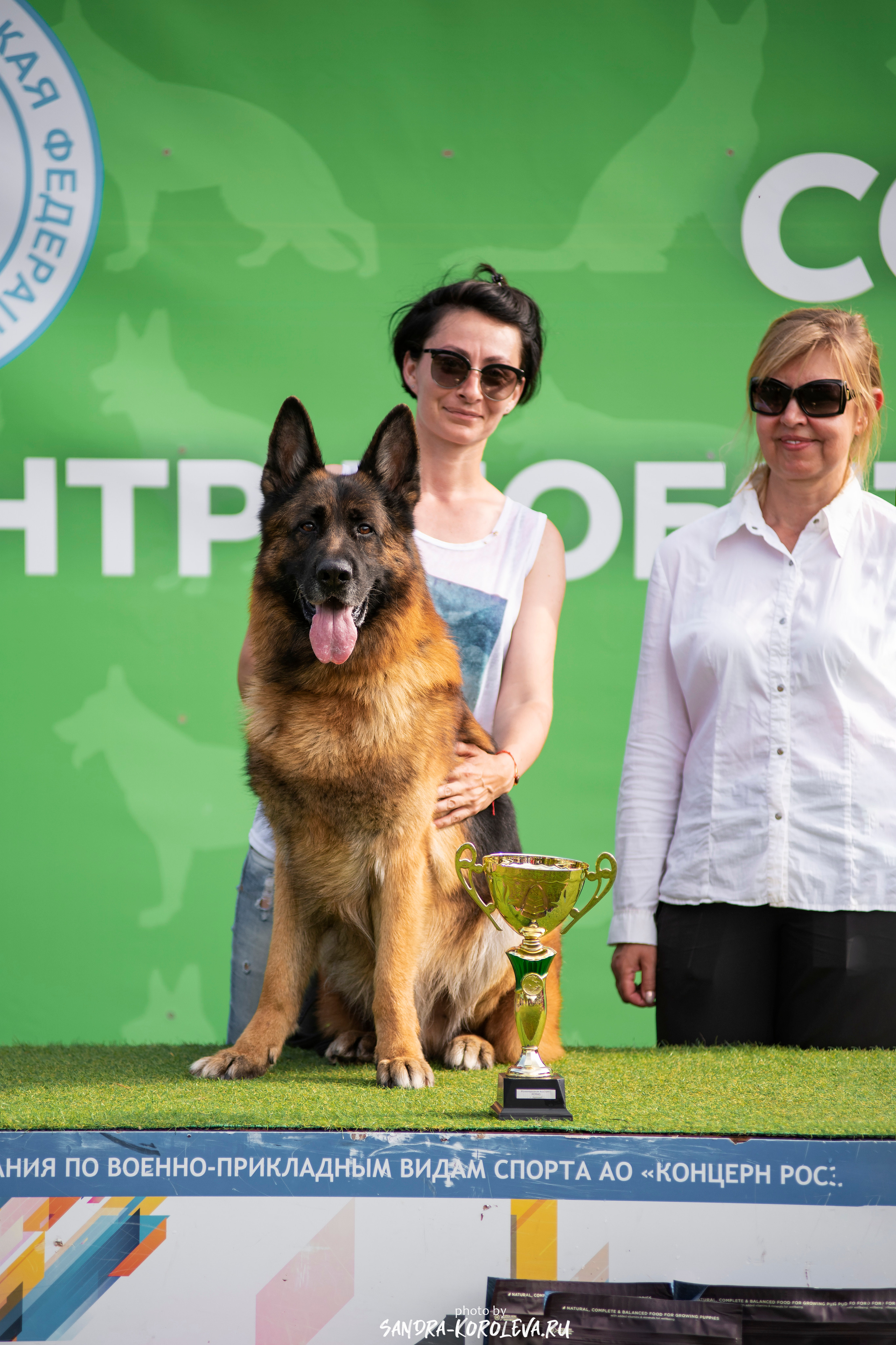 Монопородная выставка немецких овчарок, г. Заречный 2021. Дог-фотограф в Тюмени Александра Королева