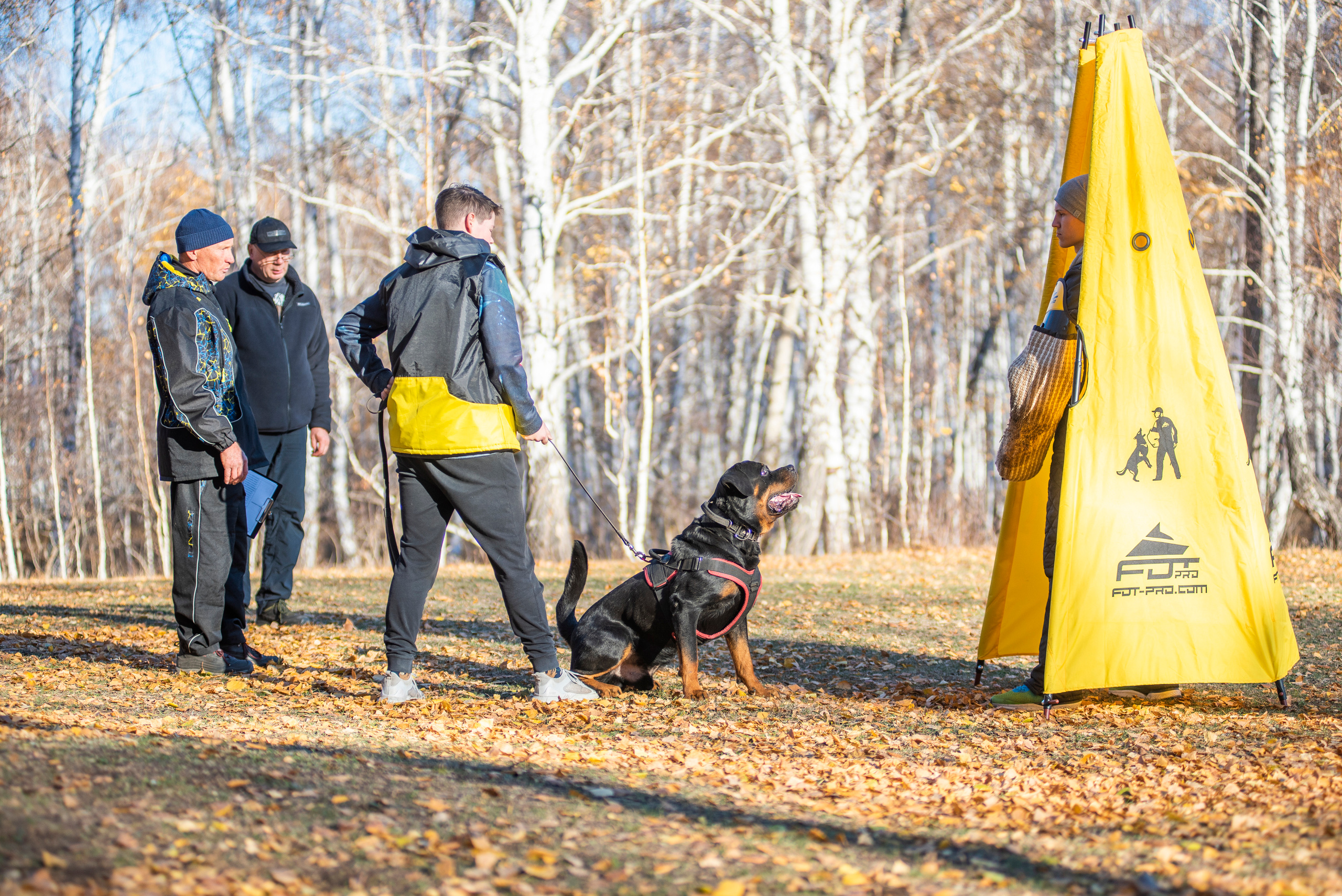 RUSSIAN HELPERS SCHOOL. Магнитогорск октябрь 2021. Дог-фотограф в Тюмени Александра Королева