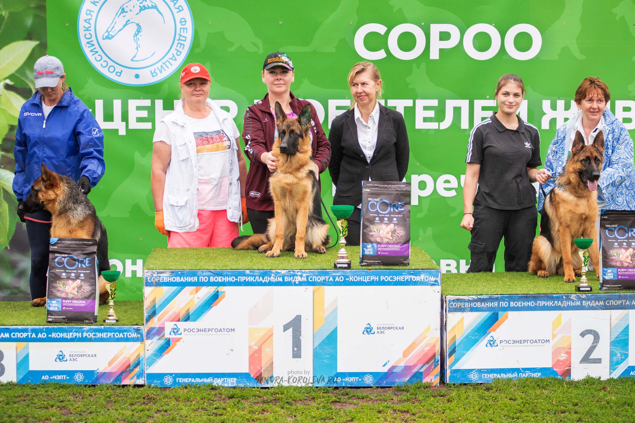 Монопородная выставка немецких овчарок, г. Заречный 2021. Дог-фотограф в Тюмени Александра Королева