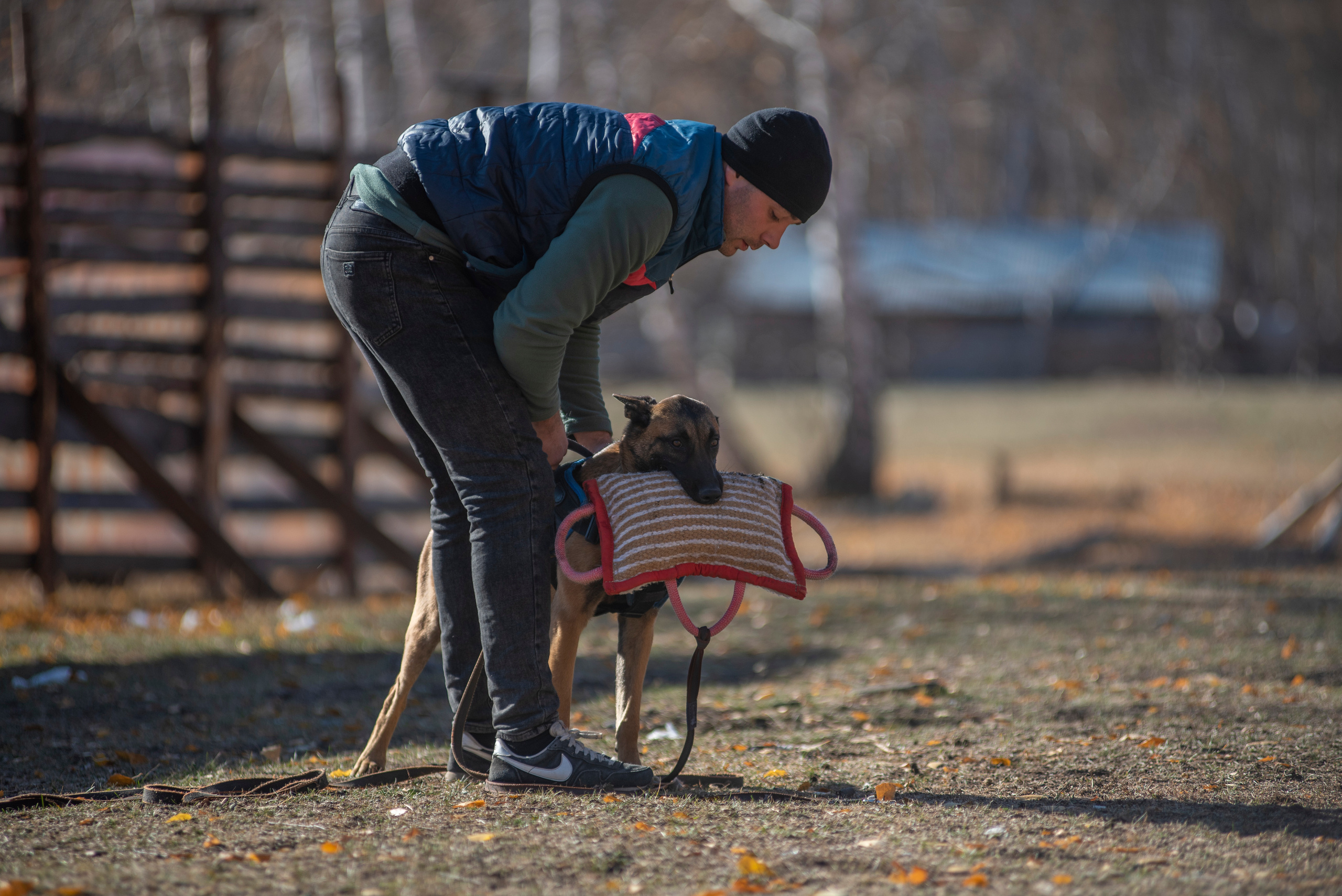 RUSSIAN HELPERS SCHOOL. Магнитогорск октябрь 2021. Дог-фотограф в Тюмени Александра Королева