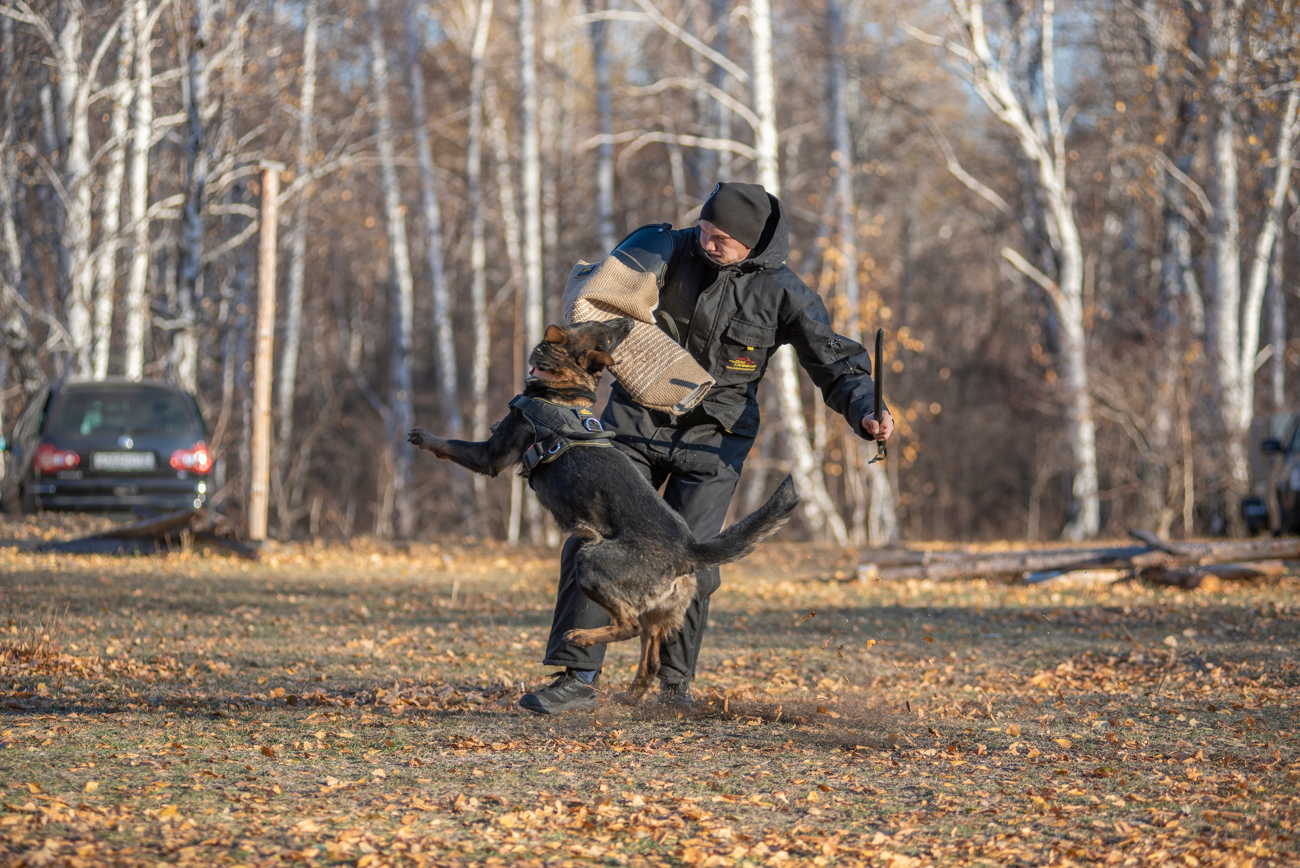 RUSSIAN HELPERS SCHOOL. Магнитогорск октябрь 2021. Дог-фотограф в Тюмени Александра Королева
