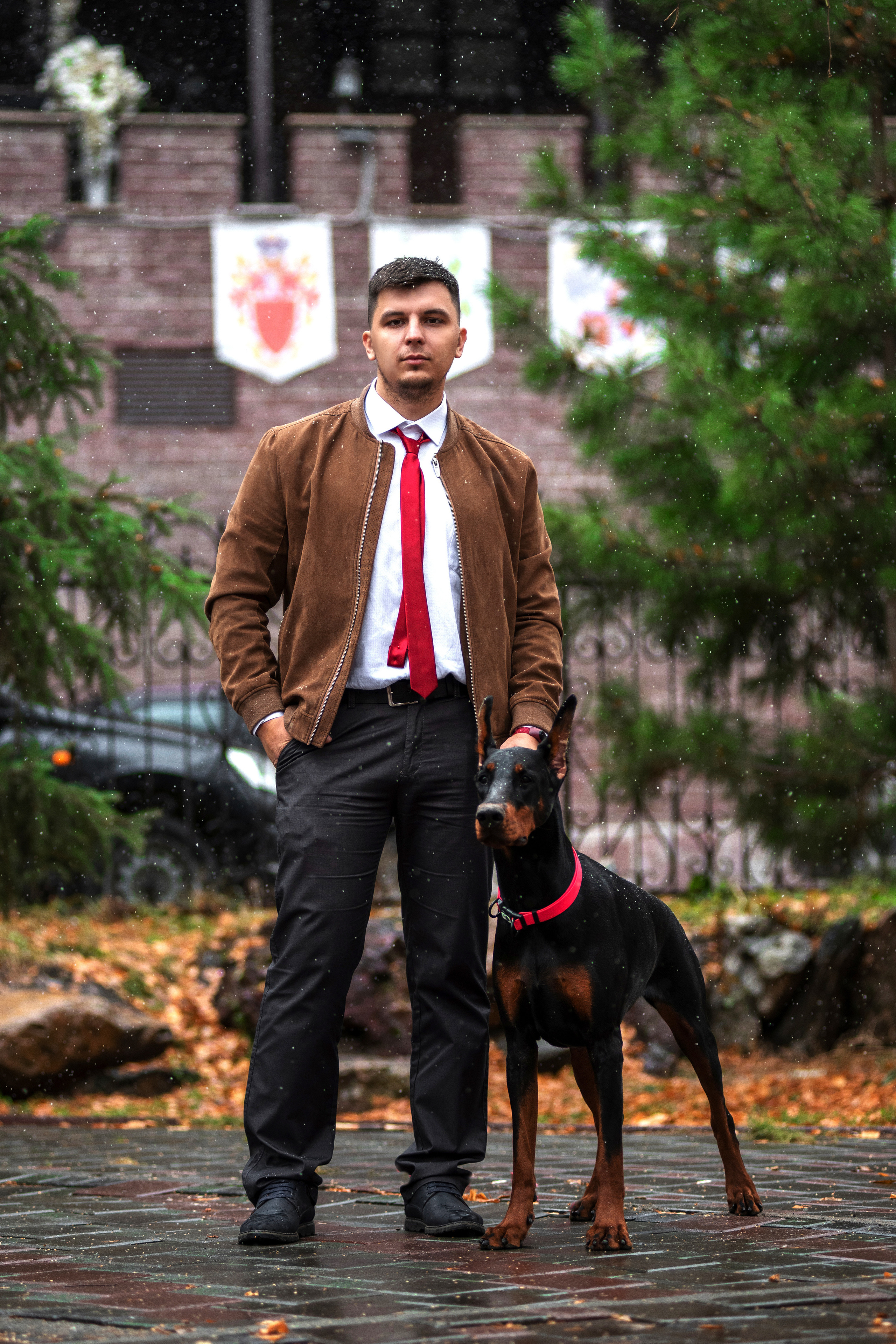 Свадьба Саши и Стаса. Дог-фотограф в Тюмени Александра Королева