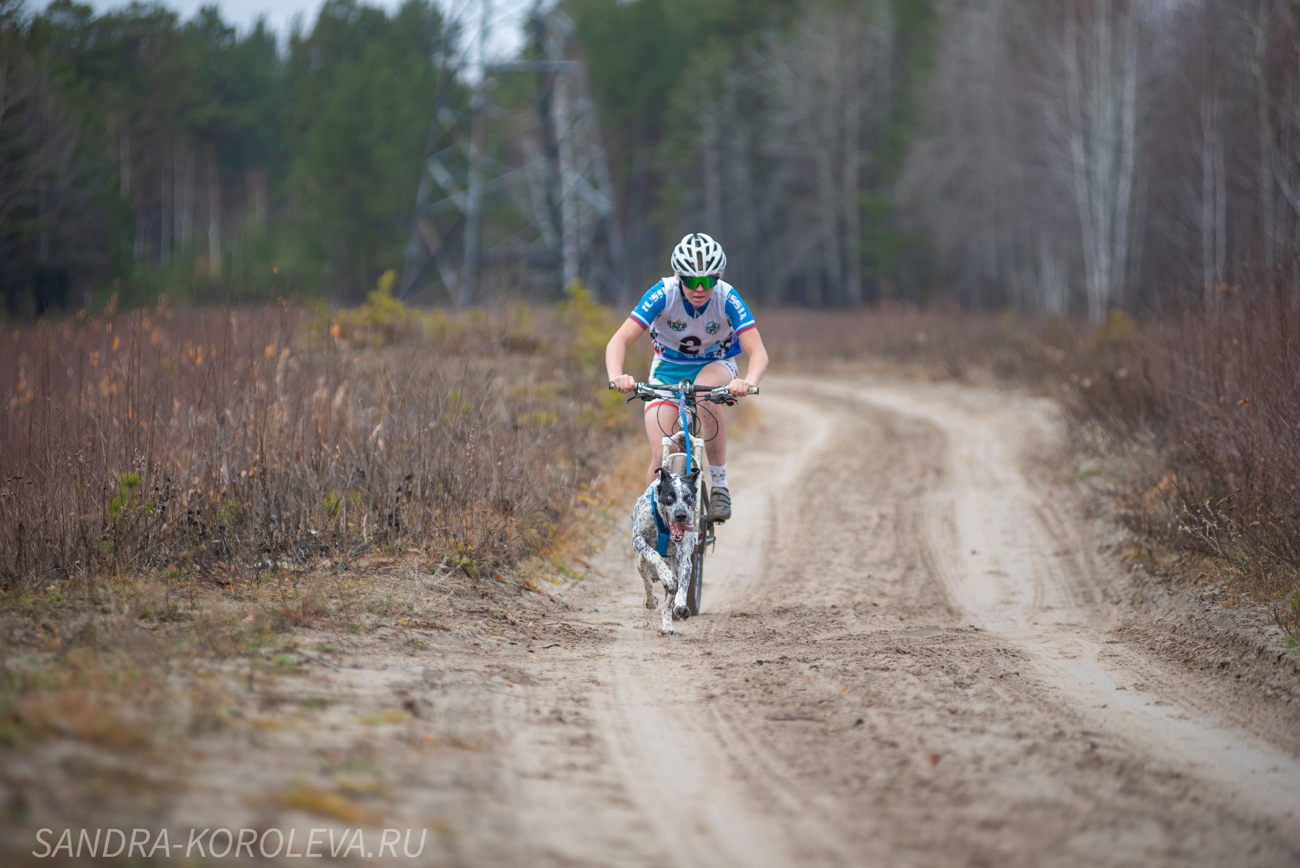 Спринт-гонка «Закрытие сезона» 24.10.2021. Дог-фотограф в Тюмени Александра Королева