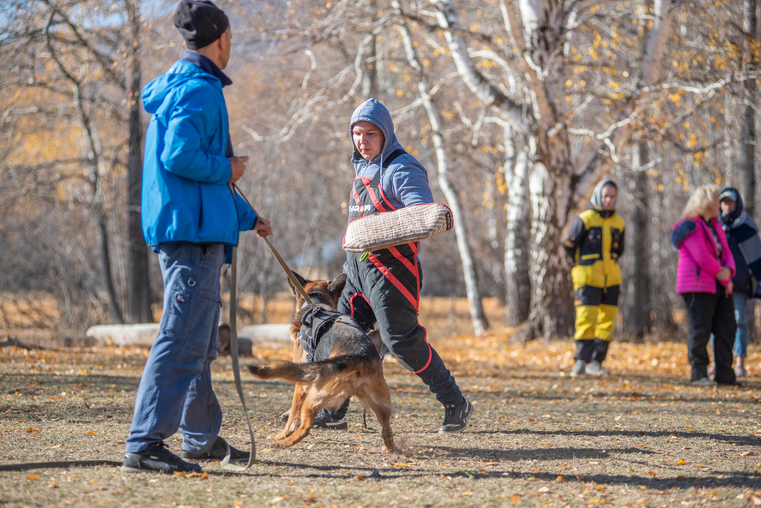 RUSSIAN HELPERS SCHOOL. Магнитогорск октябрь 2021. Дог-фотограф в Тюмени Александра Королева