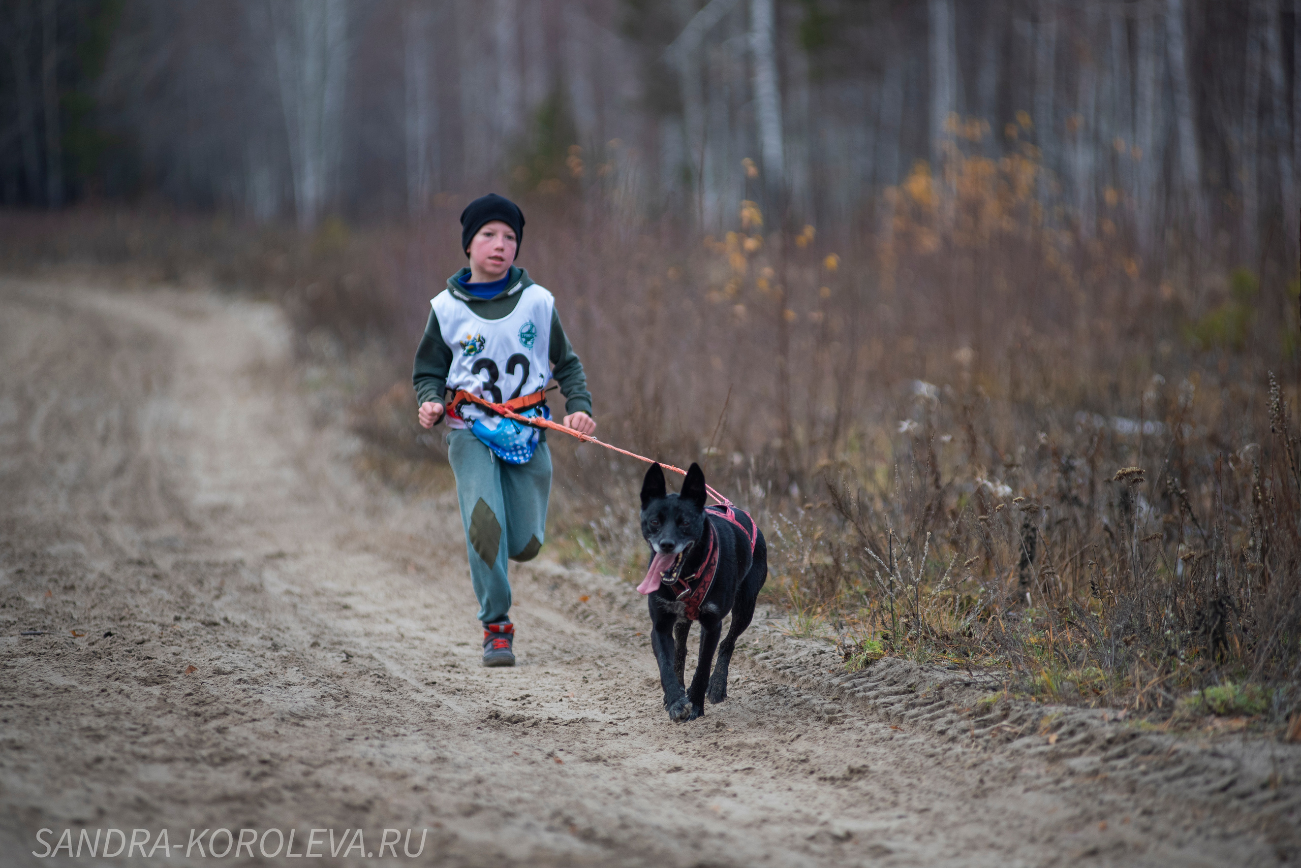 Спринт-гонка «Закрытие сезона» 24.10.2021. Дог-фотограф в Тюмени Александра Королева