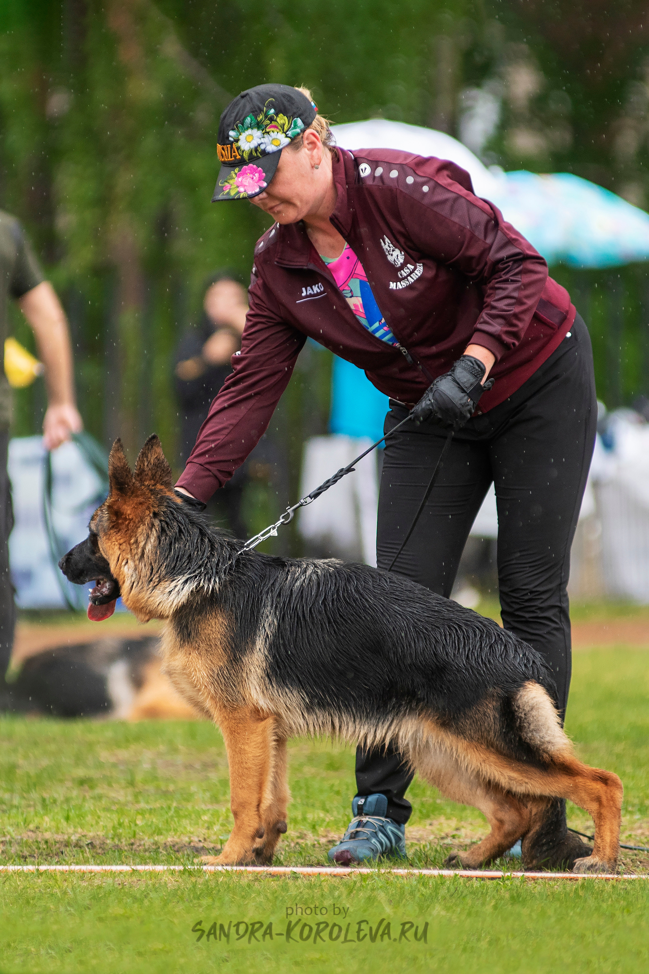 Монопородная выставка немецких овчарок, г. Заречный 2021. Дог-фотограф в Тюмени Александра Королева