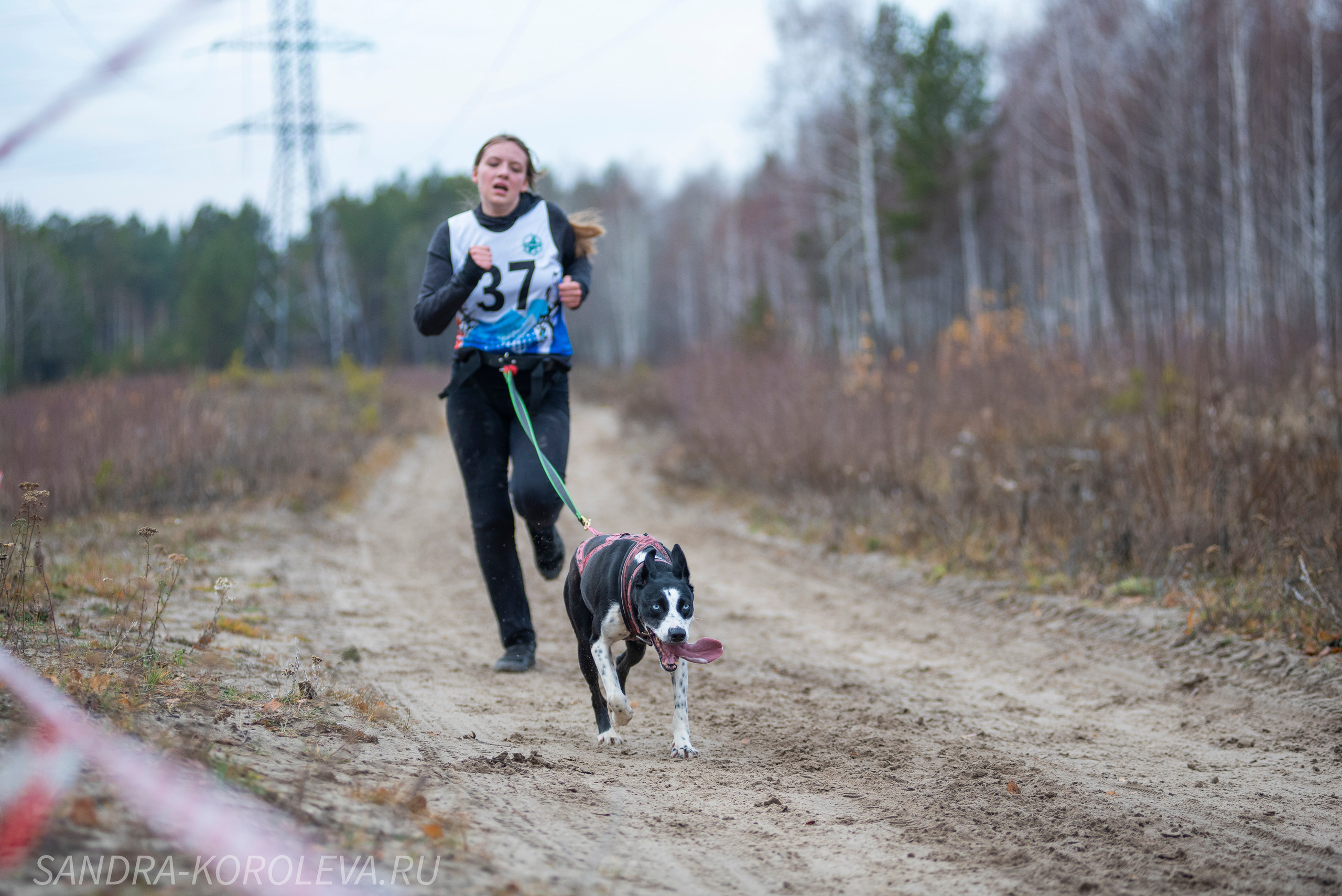 Спринт-гонка «Закрытие сезона» 24.10.2021. Дог-фотограф в Тюмени Александра Королева