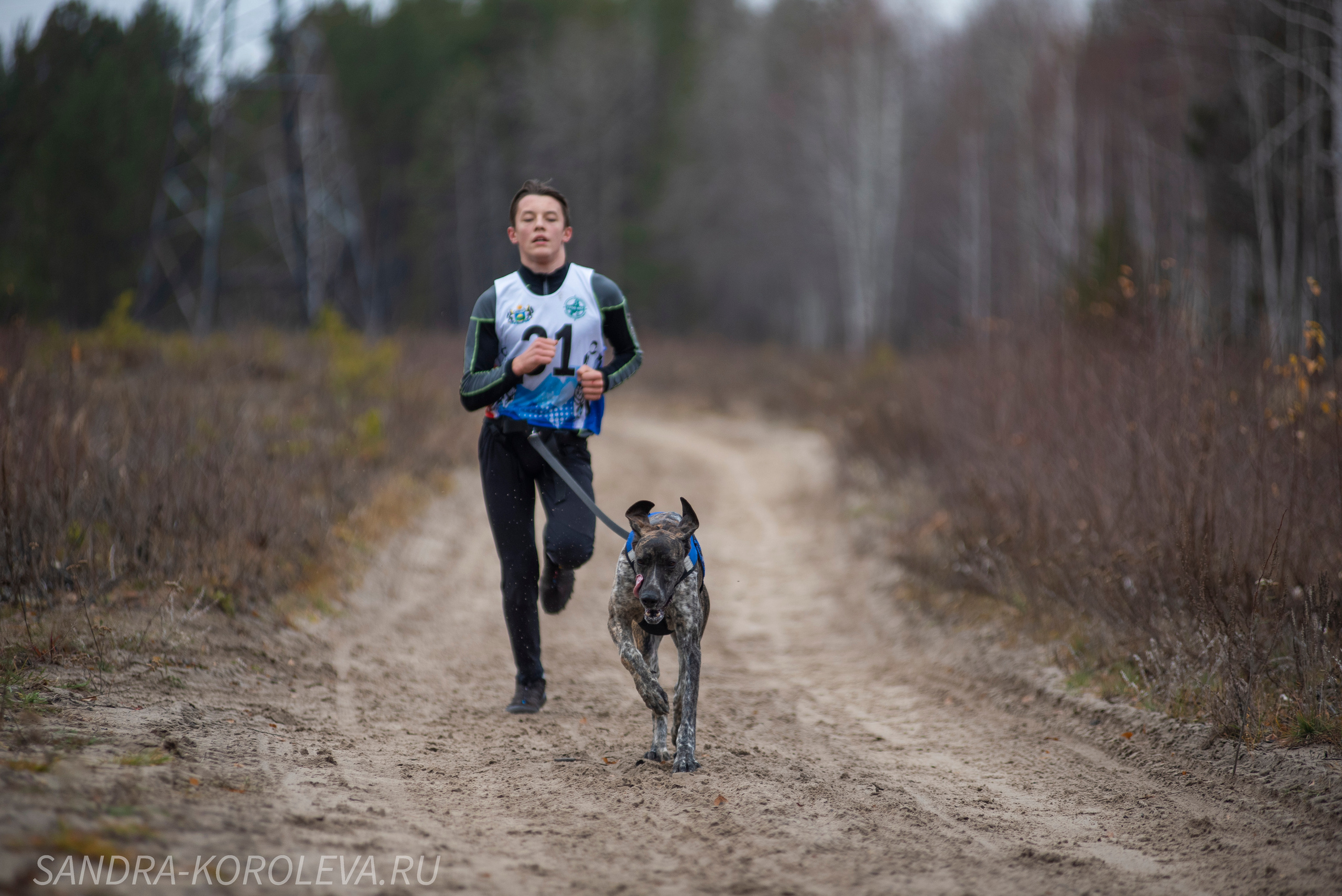 Спринт-гонка «Закрытие сезона» 24.10.2021. Дог-фотограф в Тюмени Александра Королева