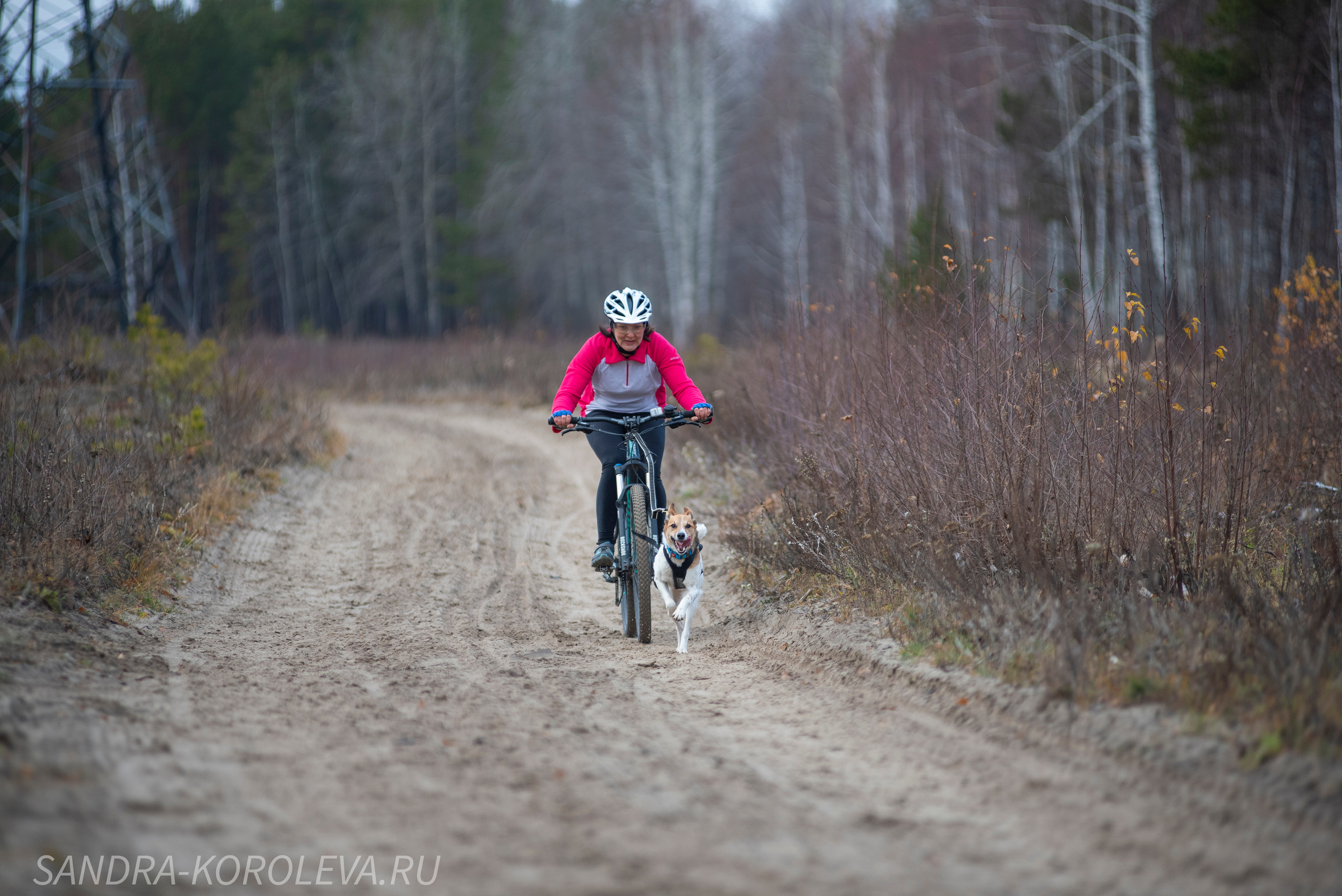 Спринт-гонка «Закрытие сезона» 24.10.2021. Дог-фотограф в Тюмени Александра Королева