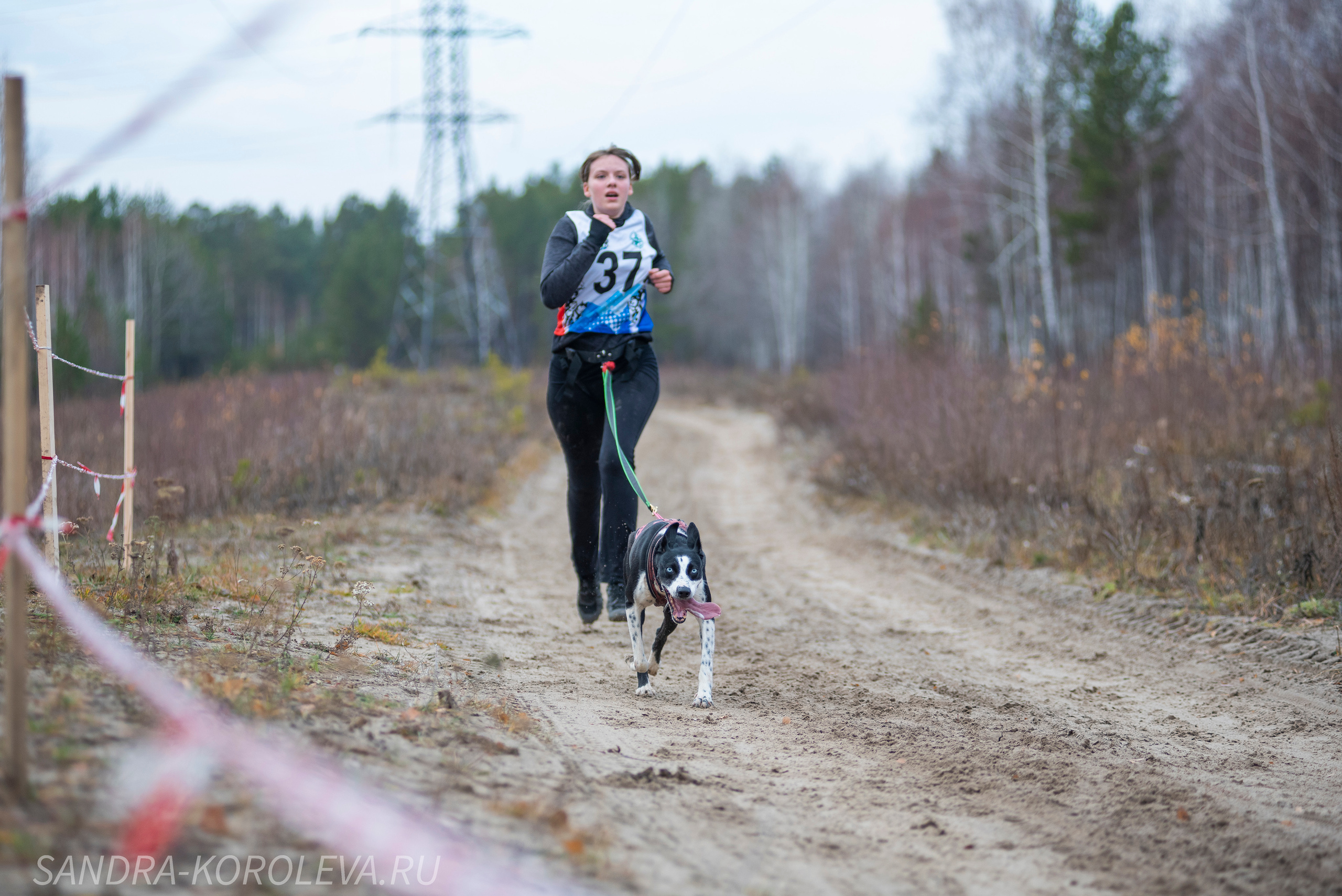 Спринт-гонка «Закрытие сезона» 24.10.2021. Дог-фотограф в Тюмени Александра Королева