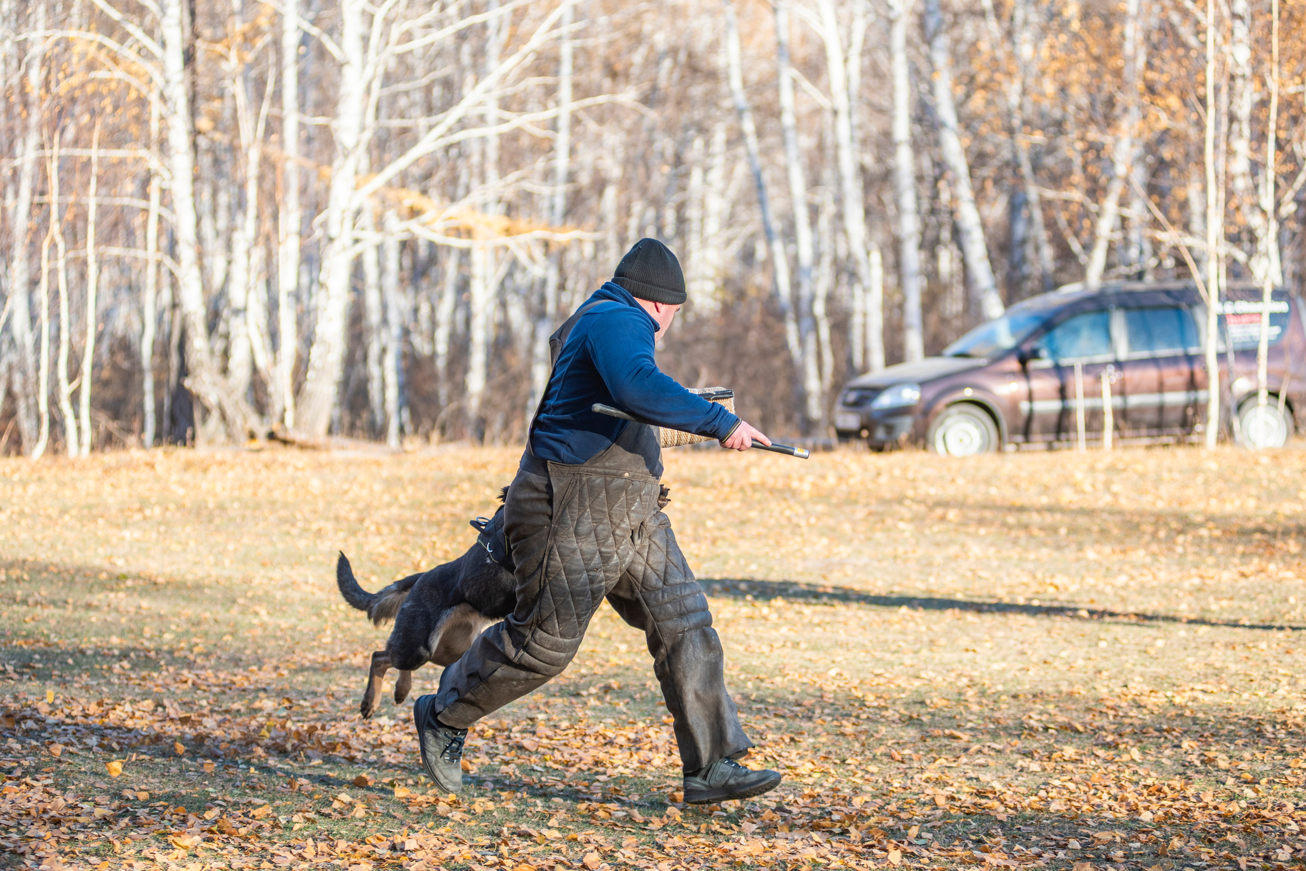 RUSSIAN HELPERS SCHOOL. Магнитогорск октябрь 2021. Дог-фотограф в Тюмени Александра Королева